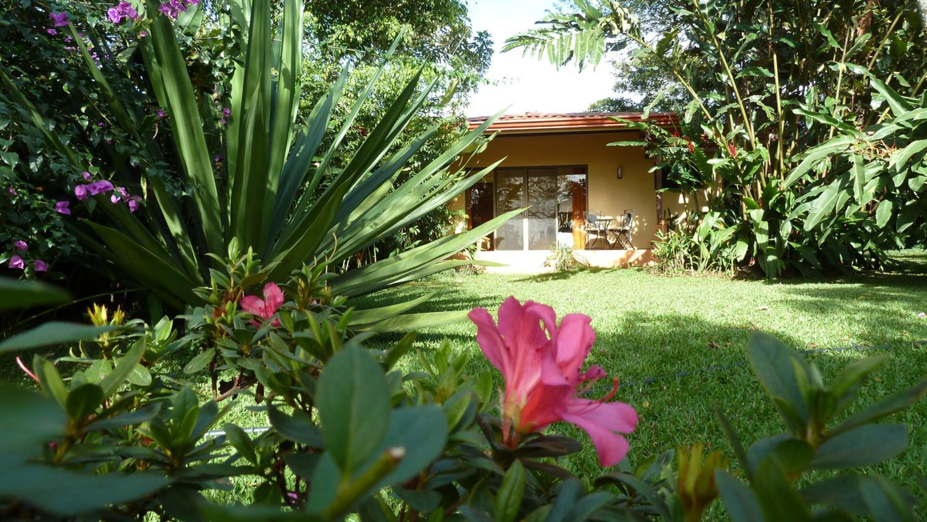 Tacacori EcoLodge