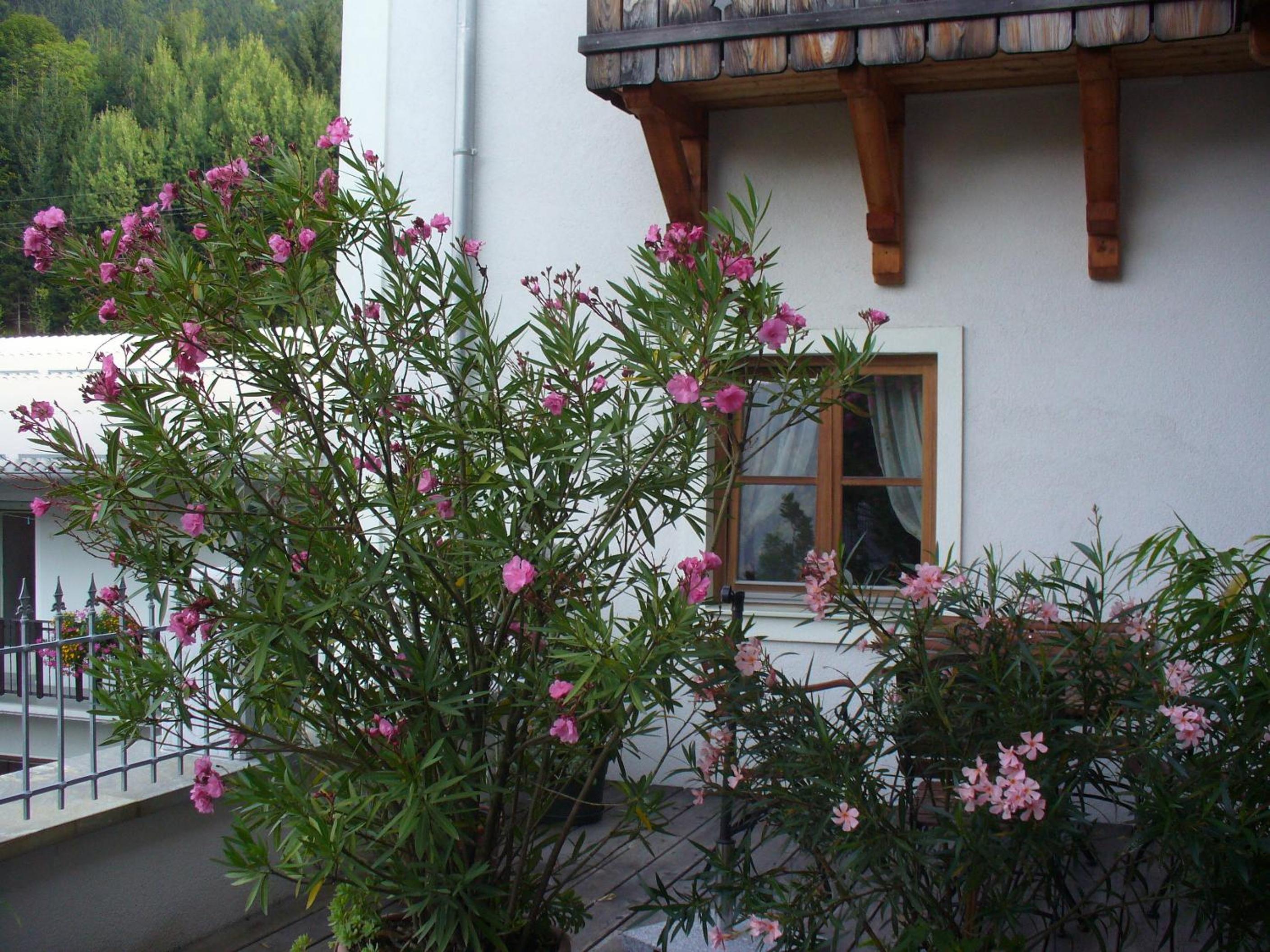 Photo 30
