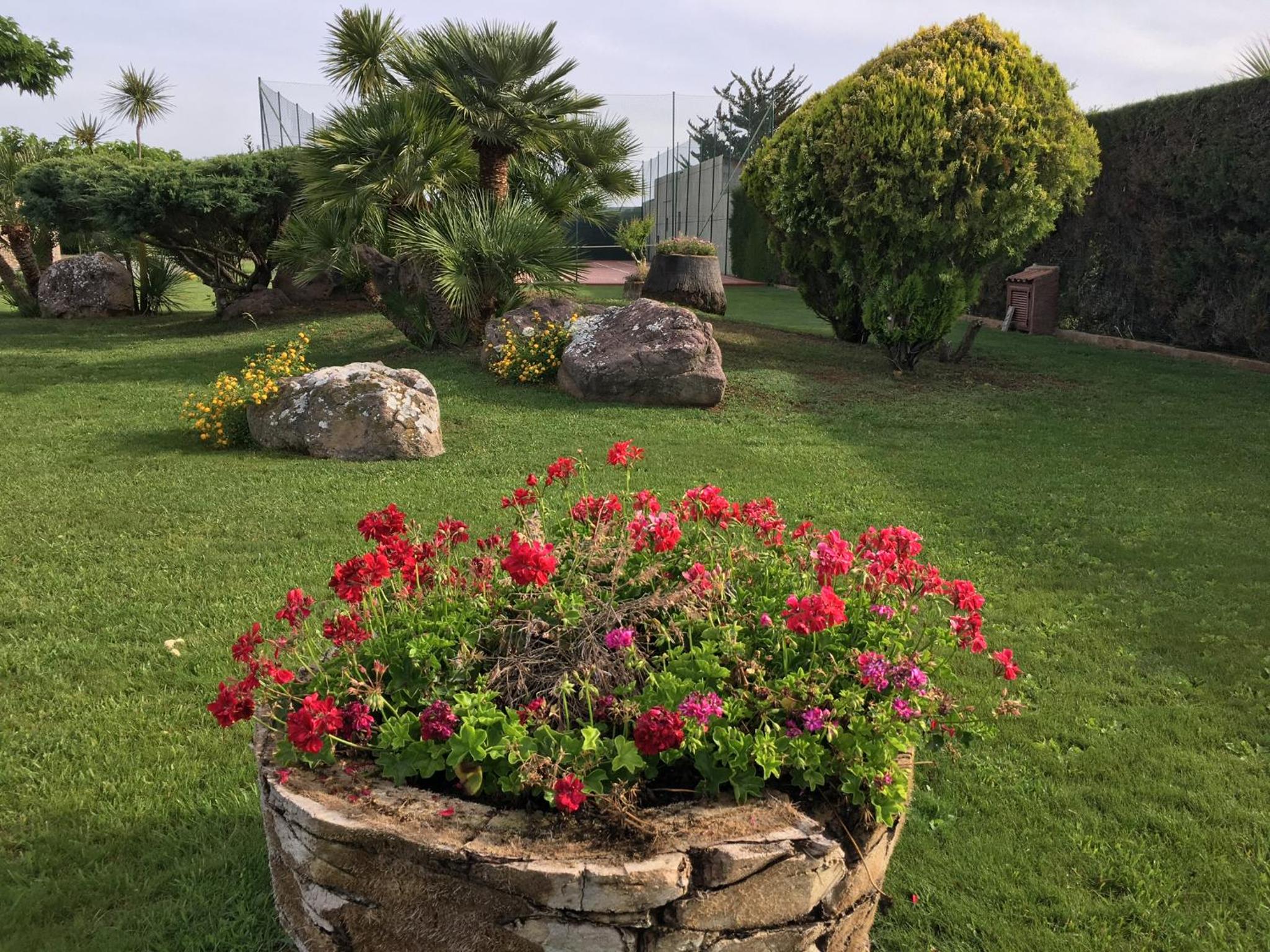 Photo 15