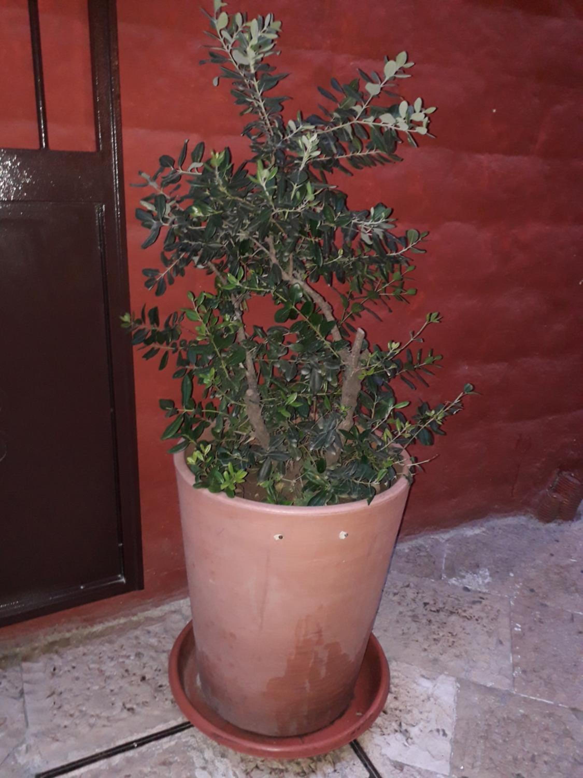Photo 36