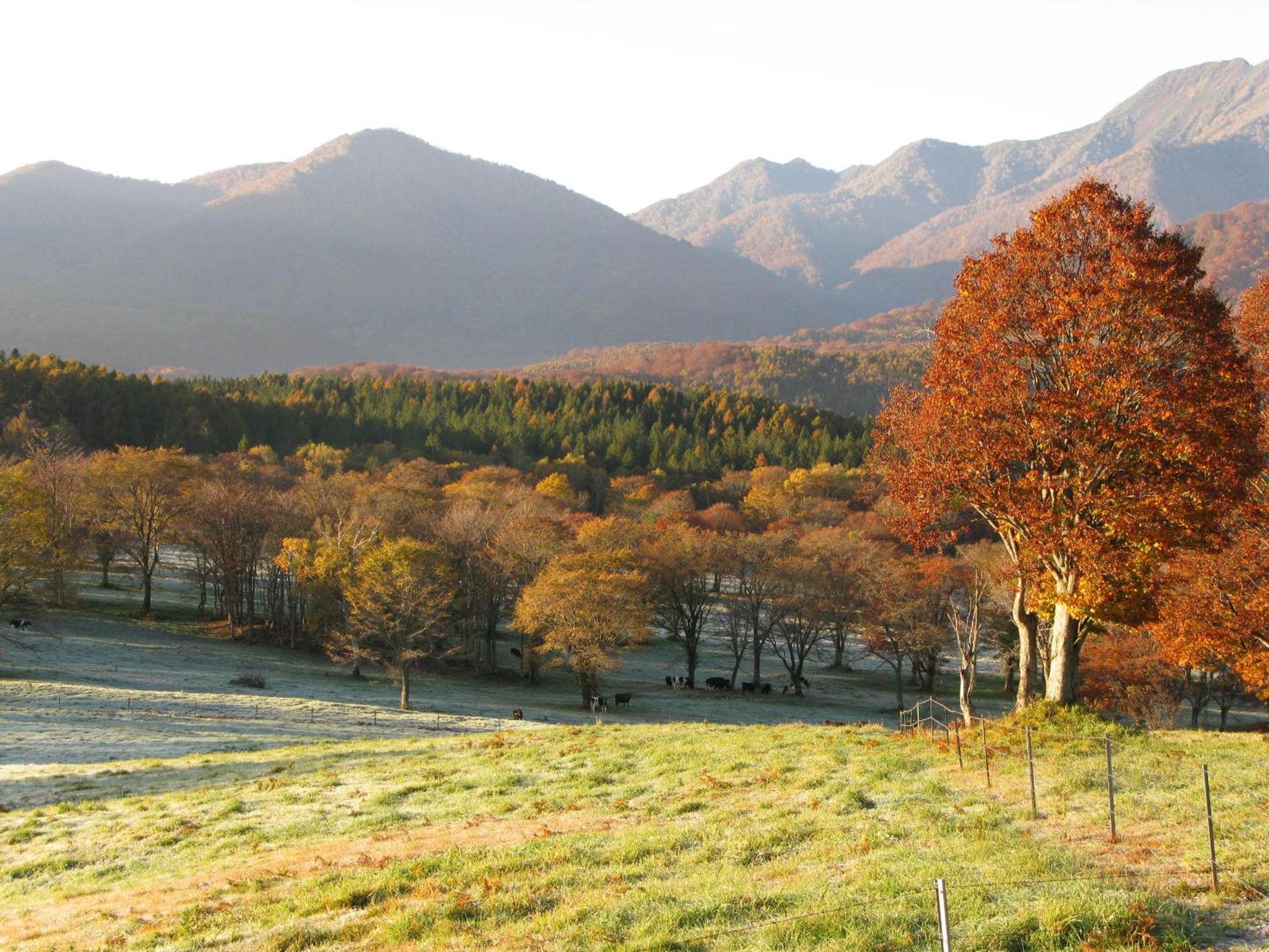 Park Lodge Sekine