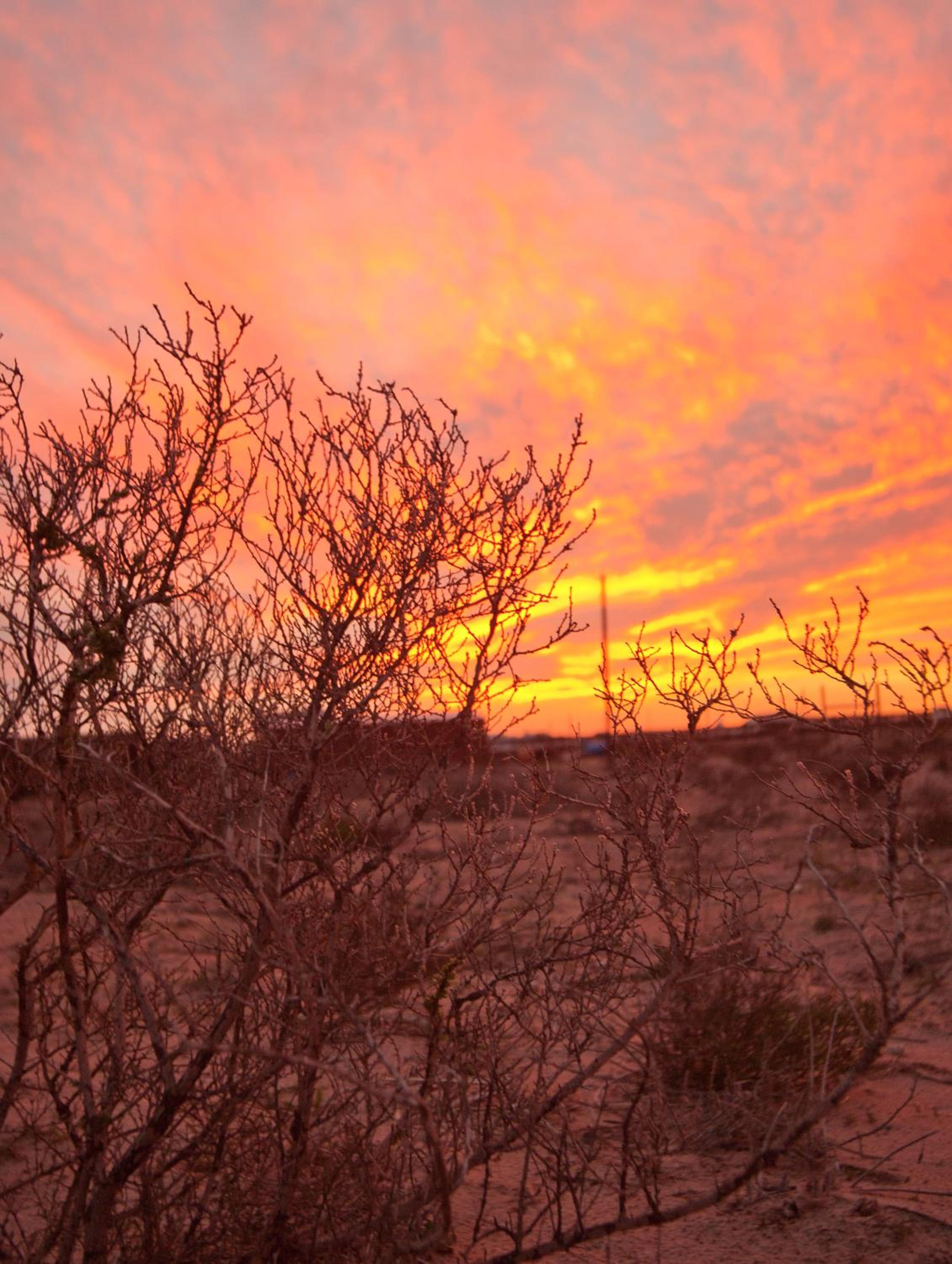 Photo 46
