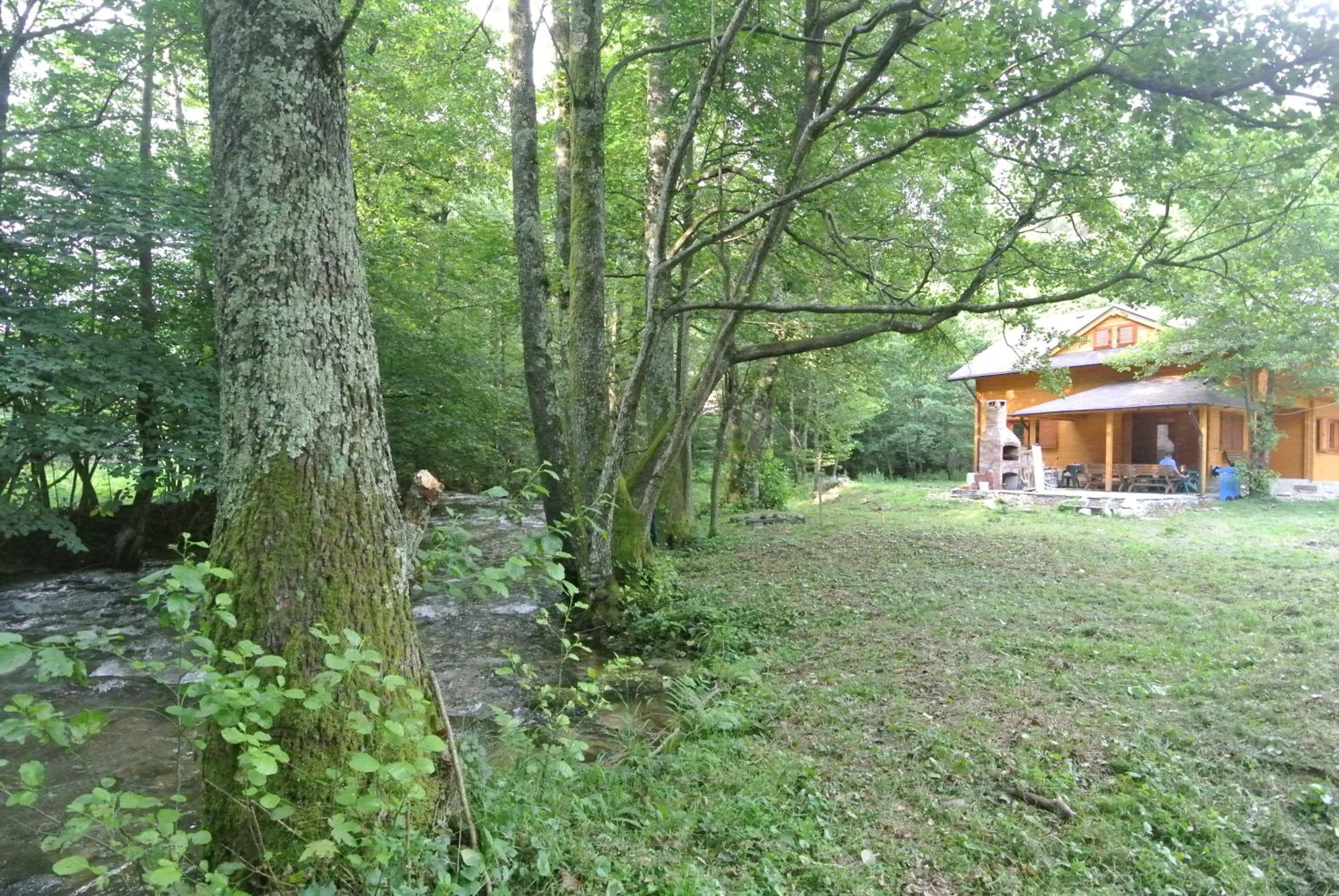 Photo 25