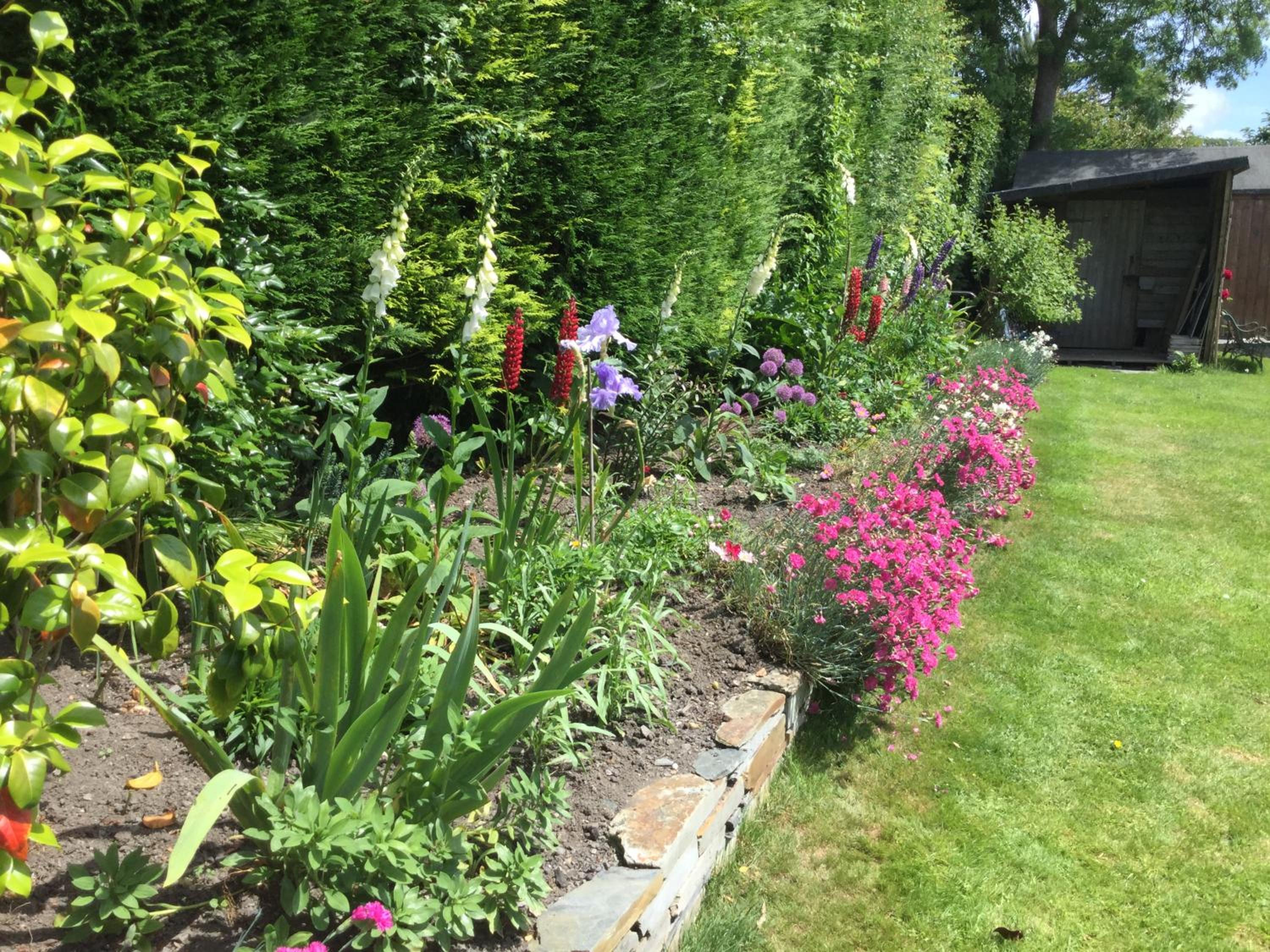 Photo 27
