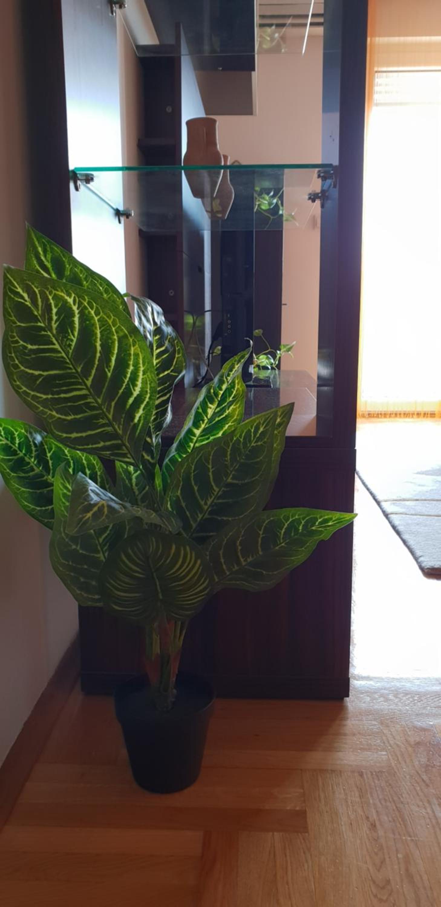 City Inn Apartment photo 4