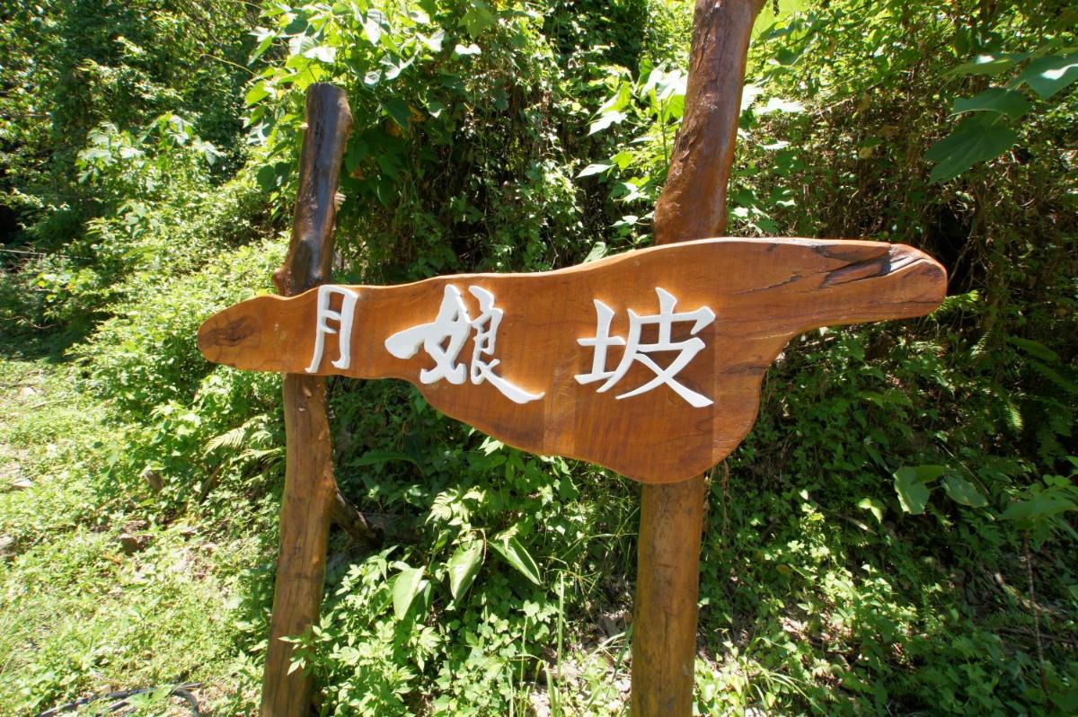 Photo 51