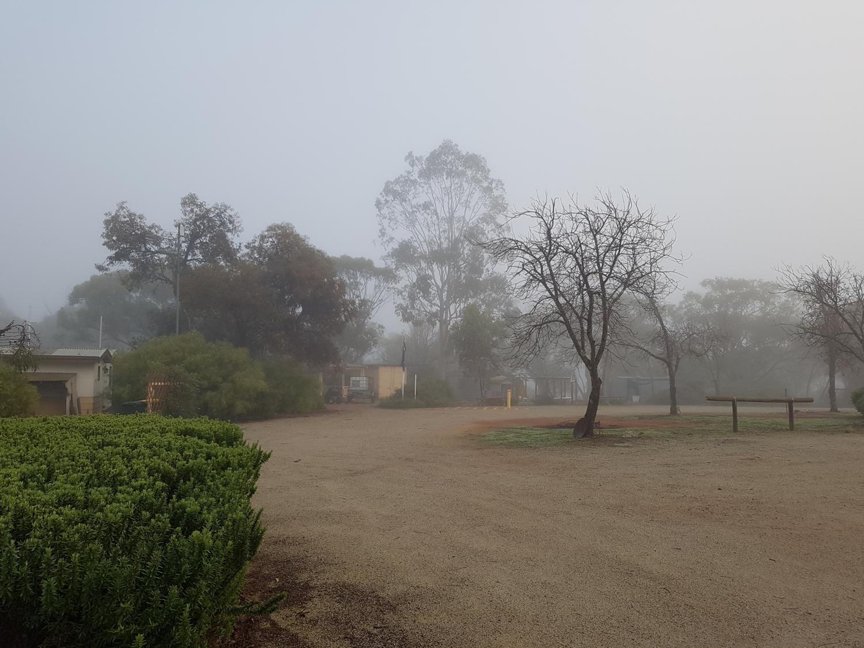 Pecan Hill BNB