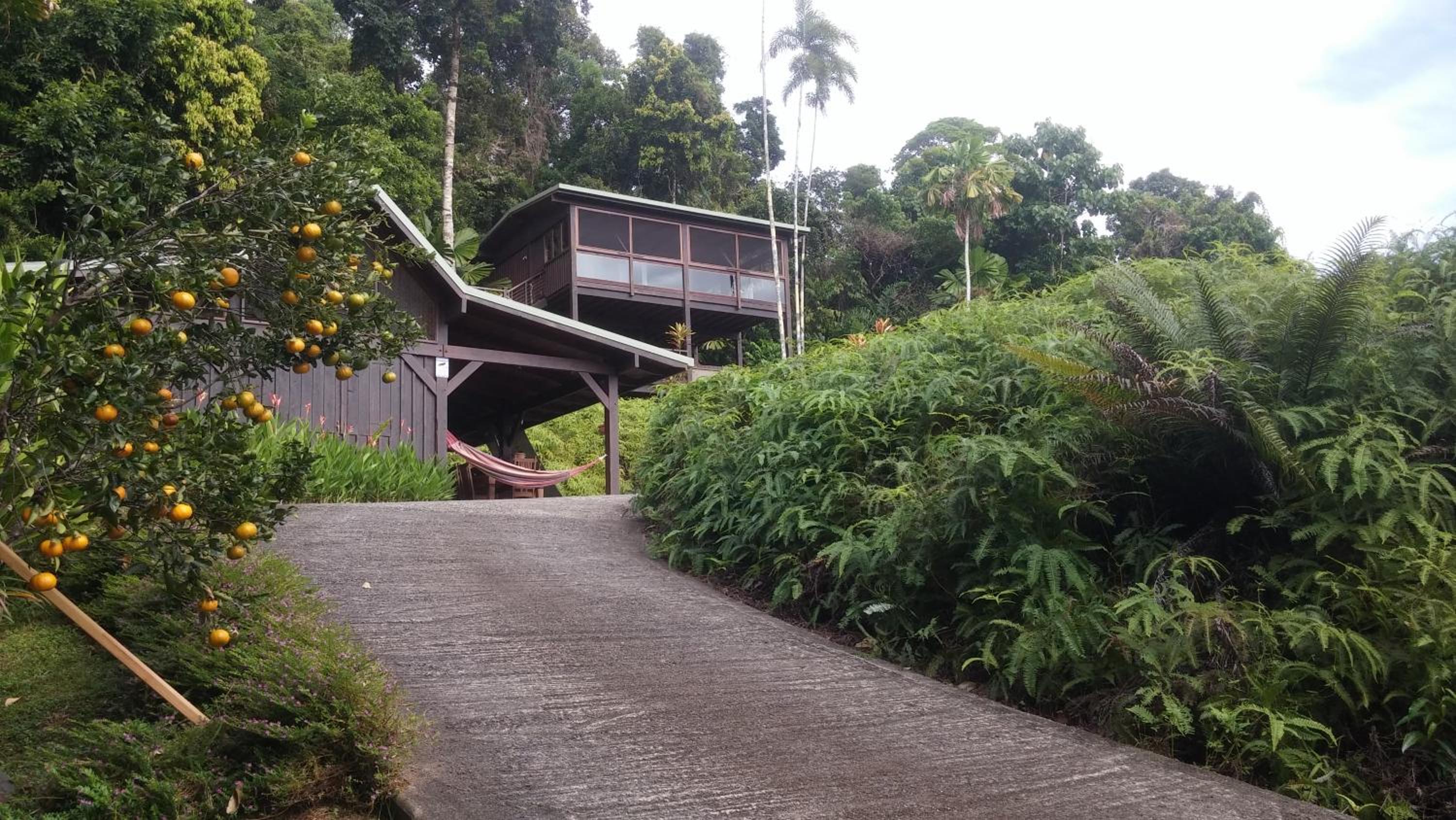 Daintree Holiday Homes - La Vista
