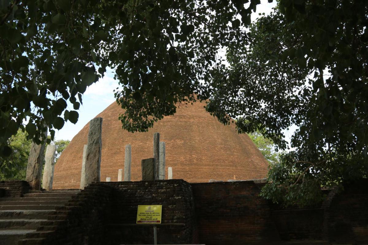 Photo 79