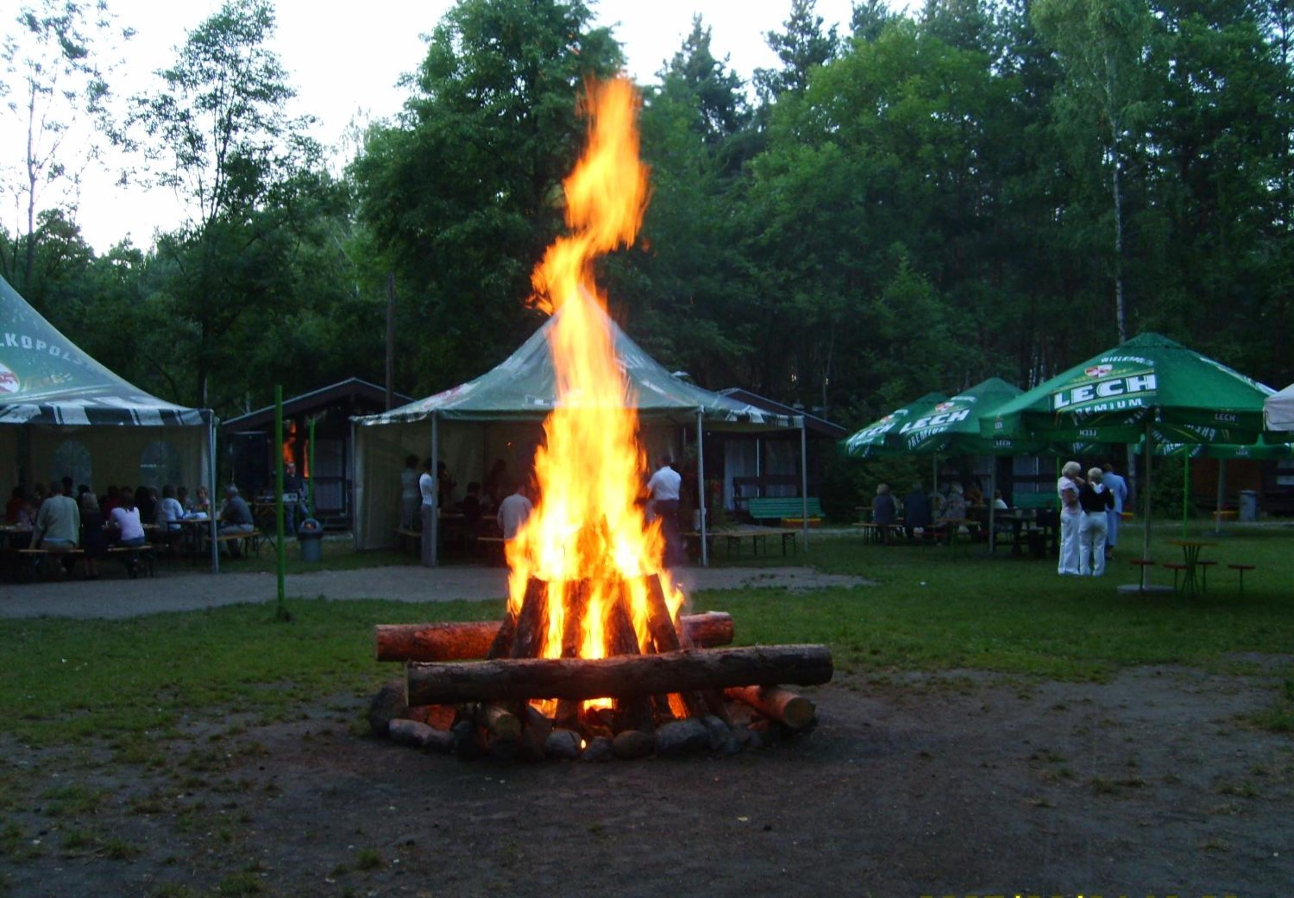 Photo 49
