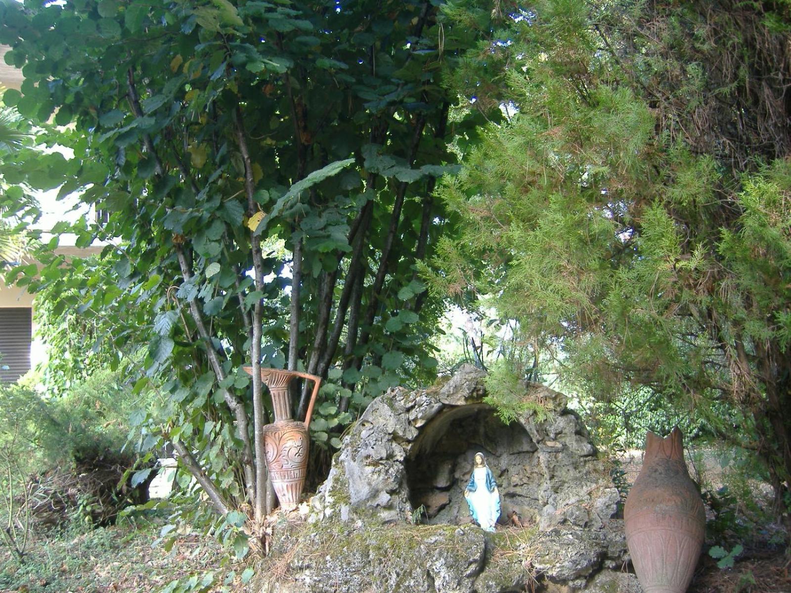 Photo 49