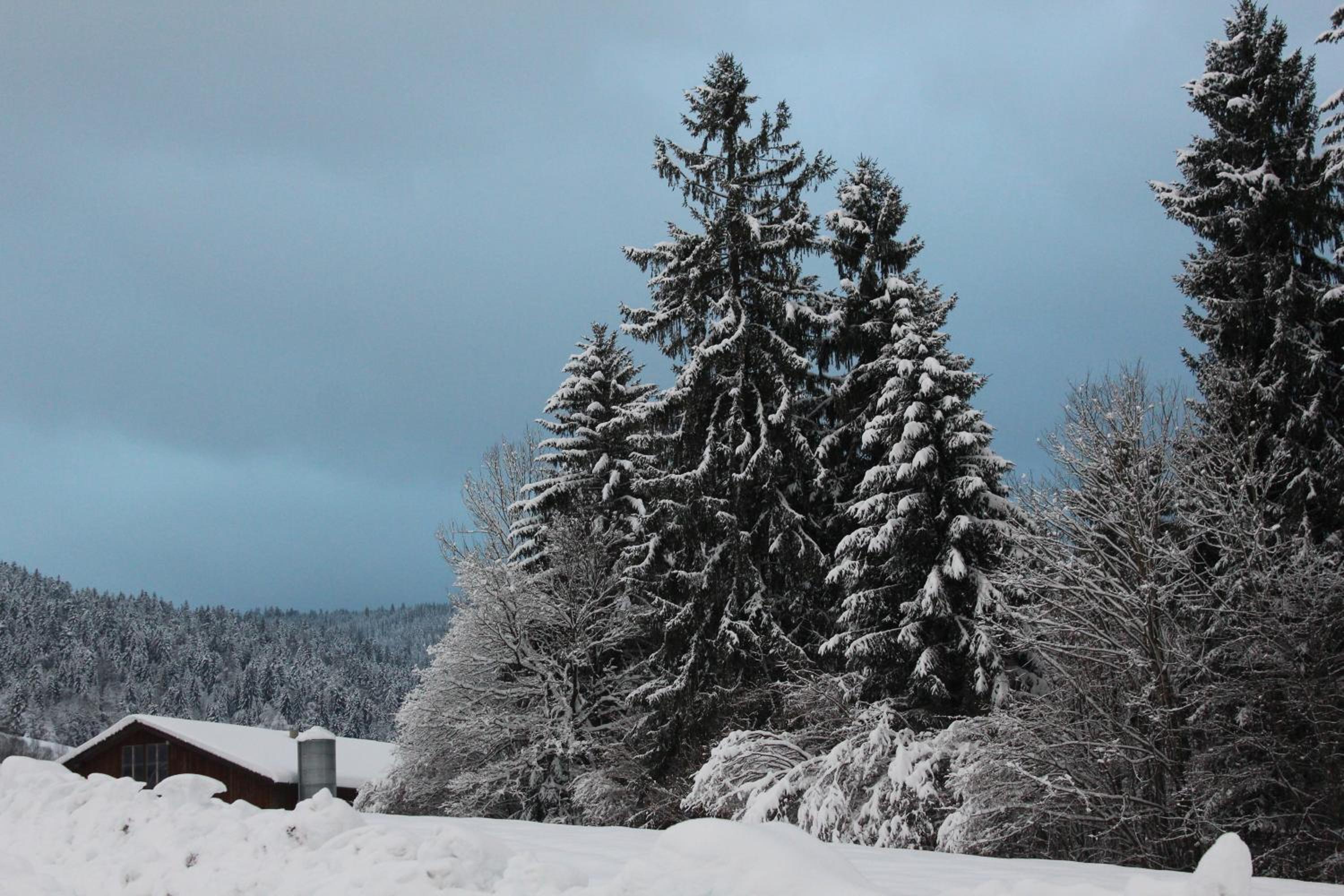Naturparadies Silvia