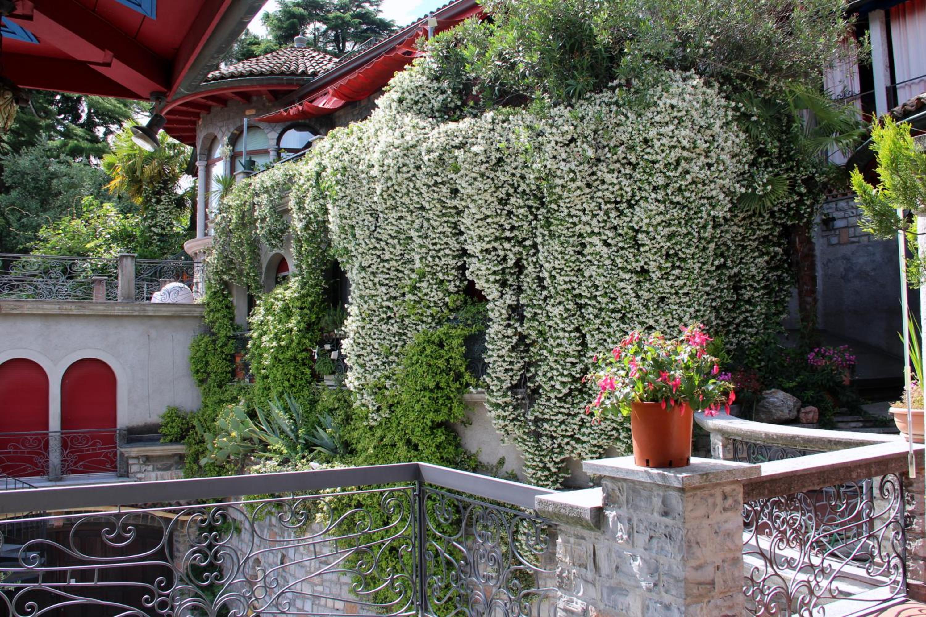 Photo 7