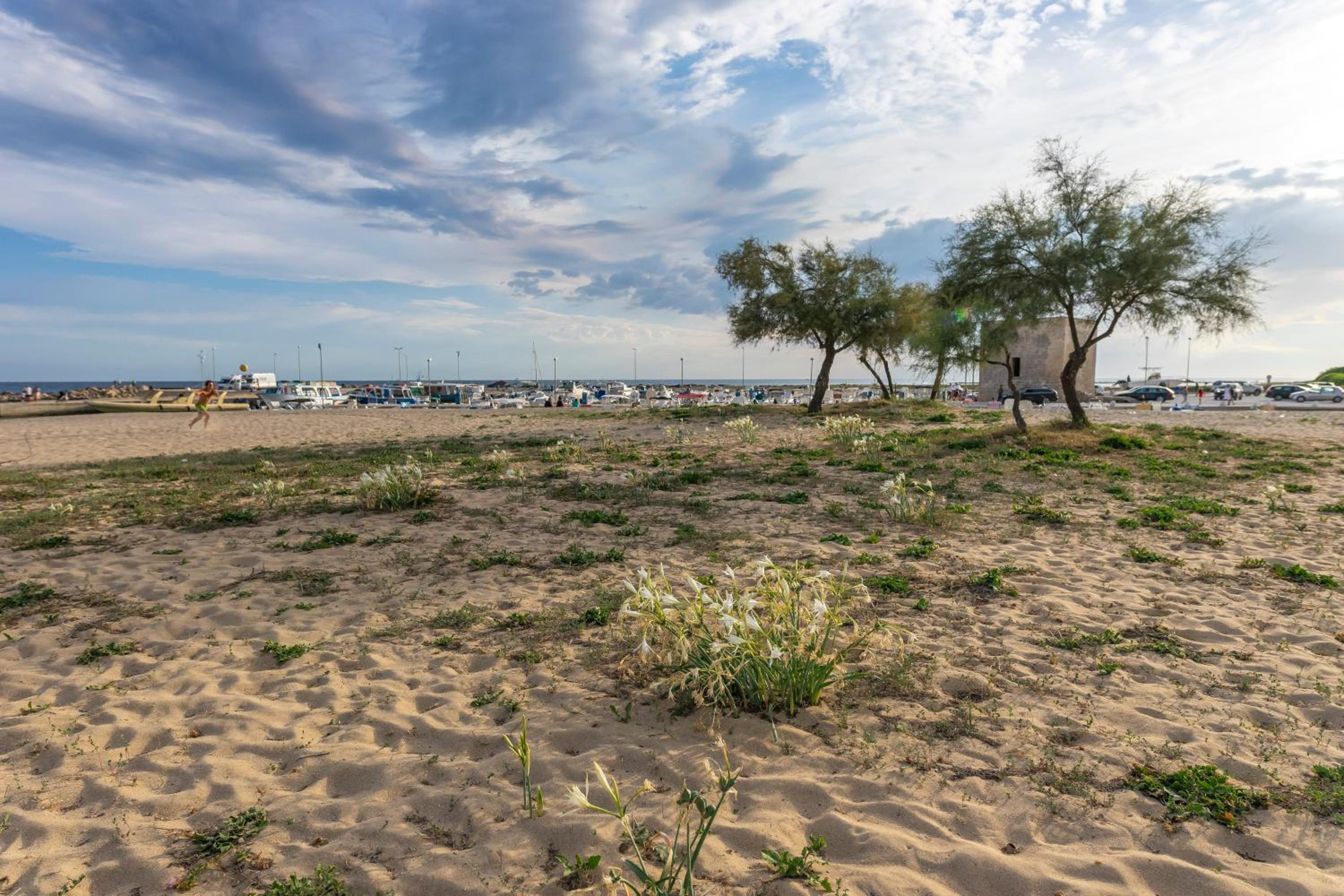 Andrew'S home - Playita photo 4