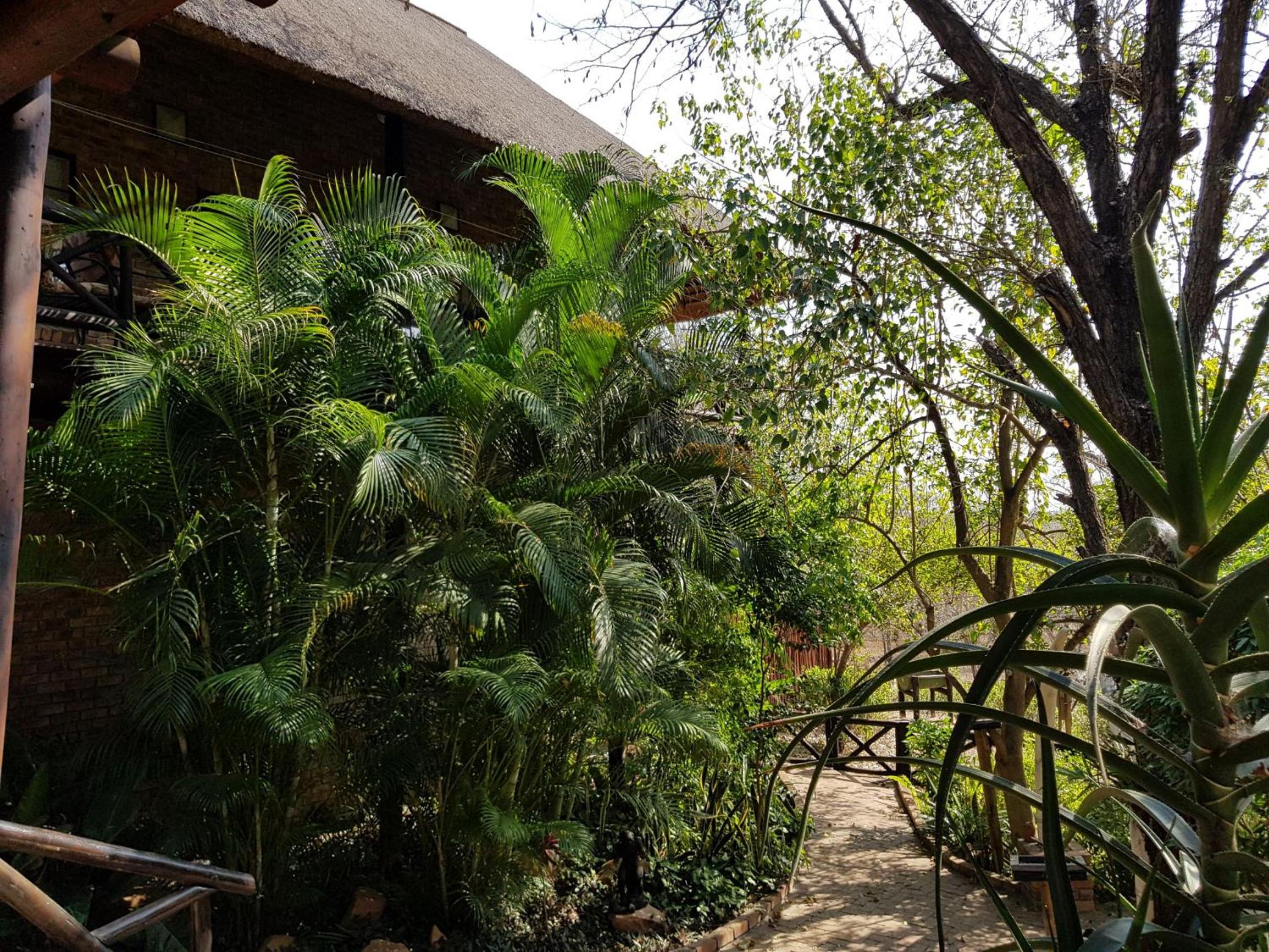 Kruger Dreams Lodge