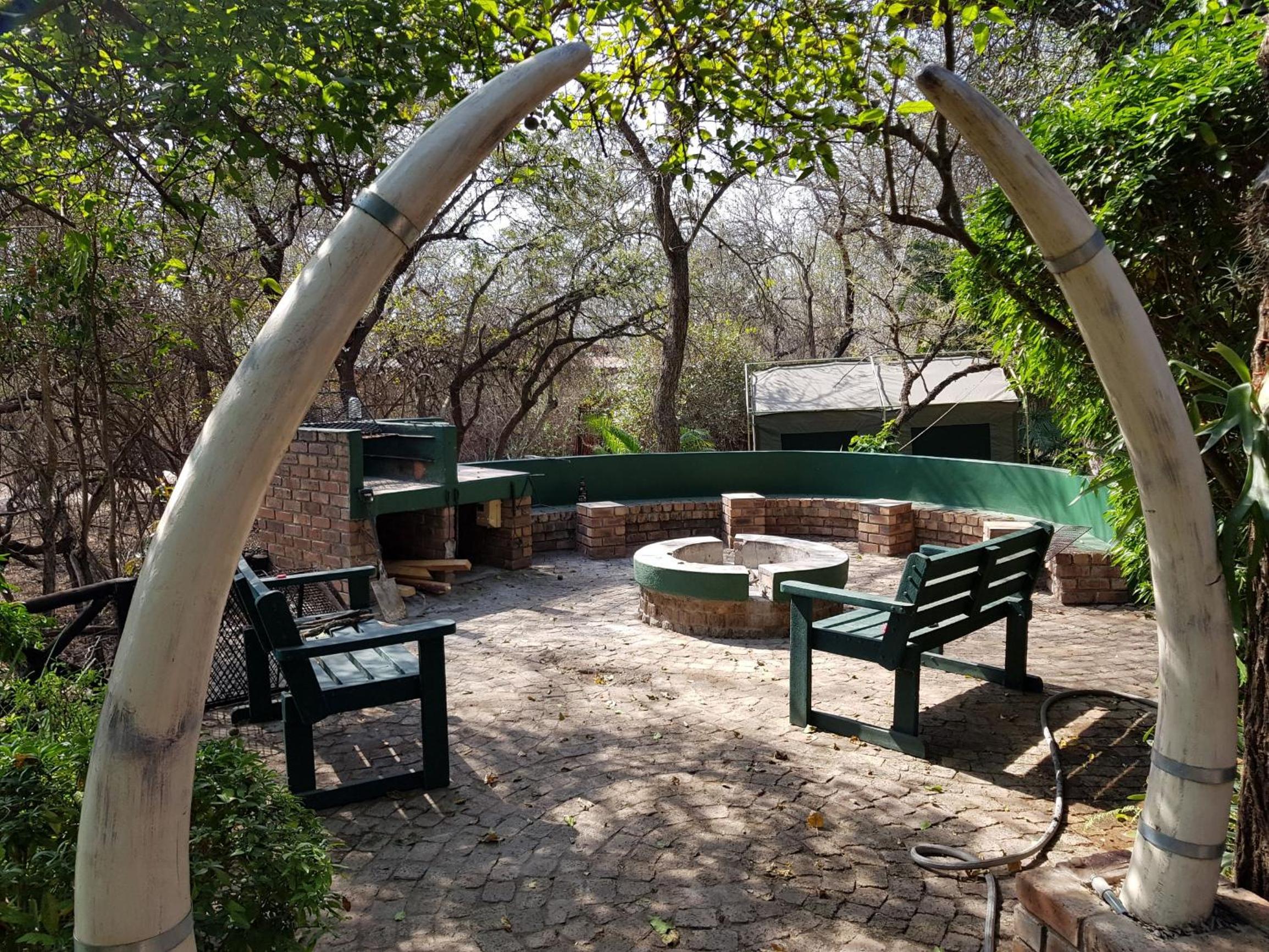 Kruger Dreams Lodge