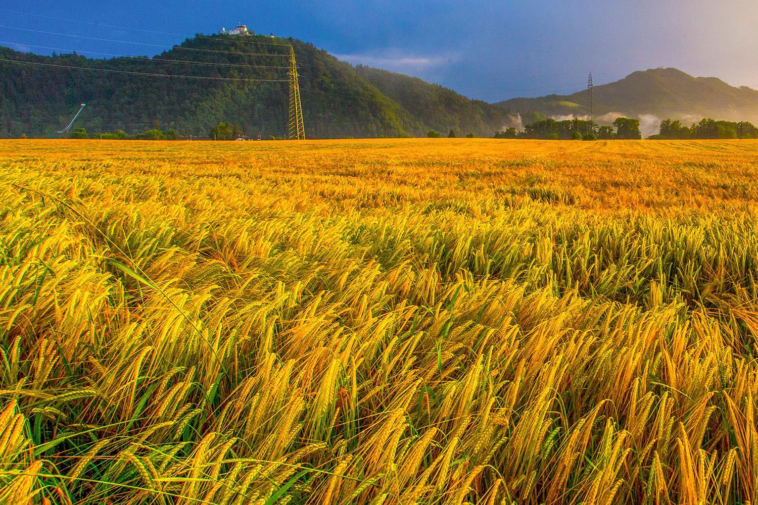 Goldenfields apartment view 2