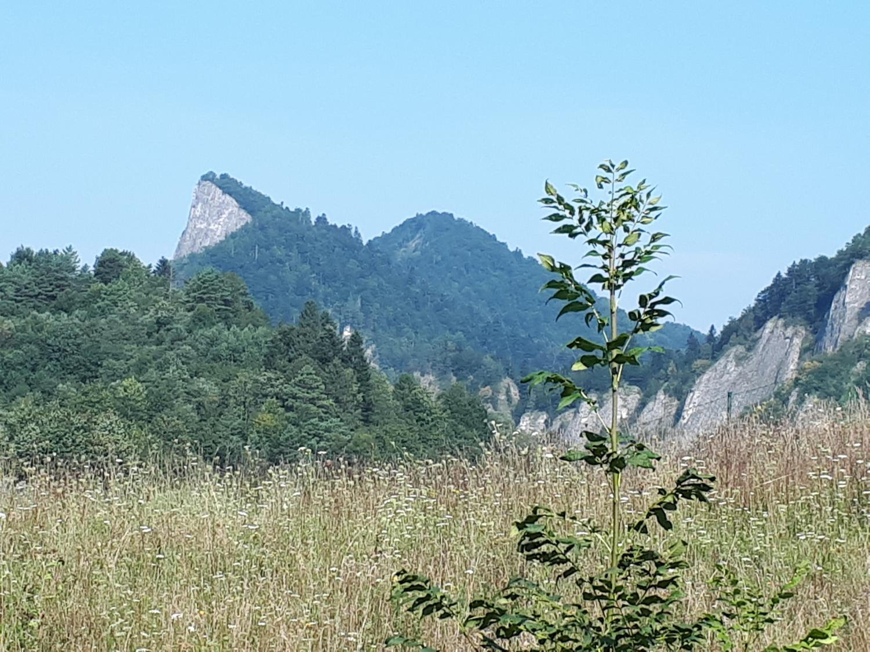 Rodinný penzion Ždiaran view 4