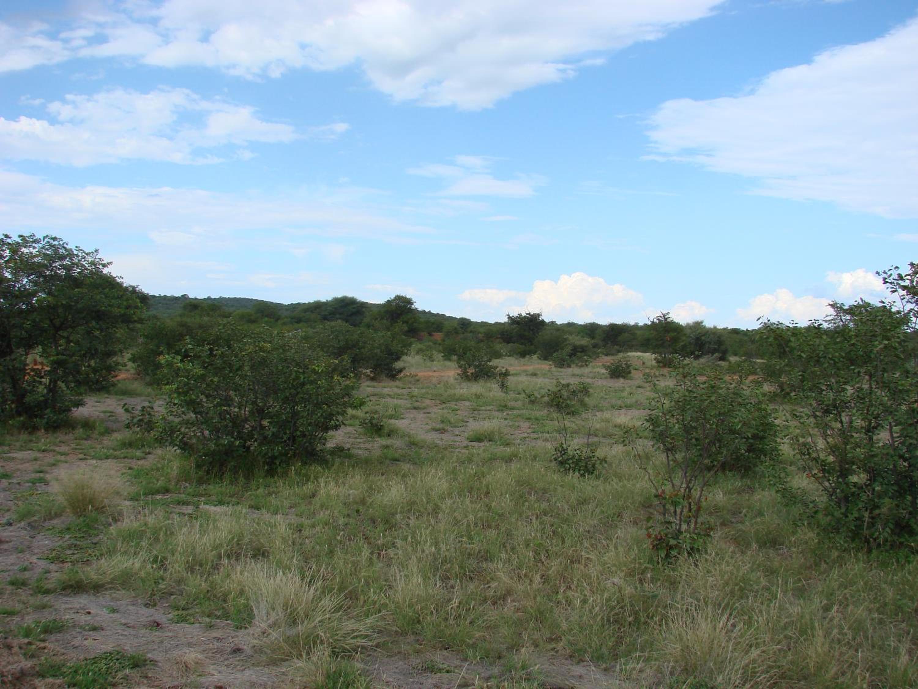 Photo 27