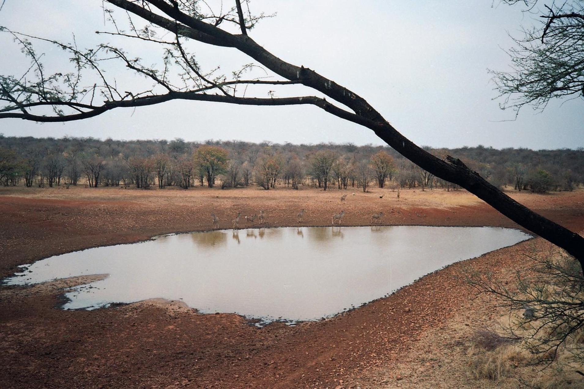 Photo 43