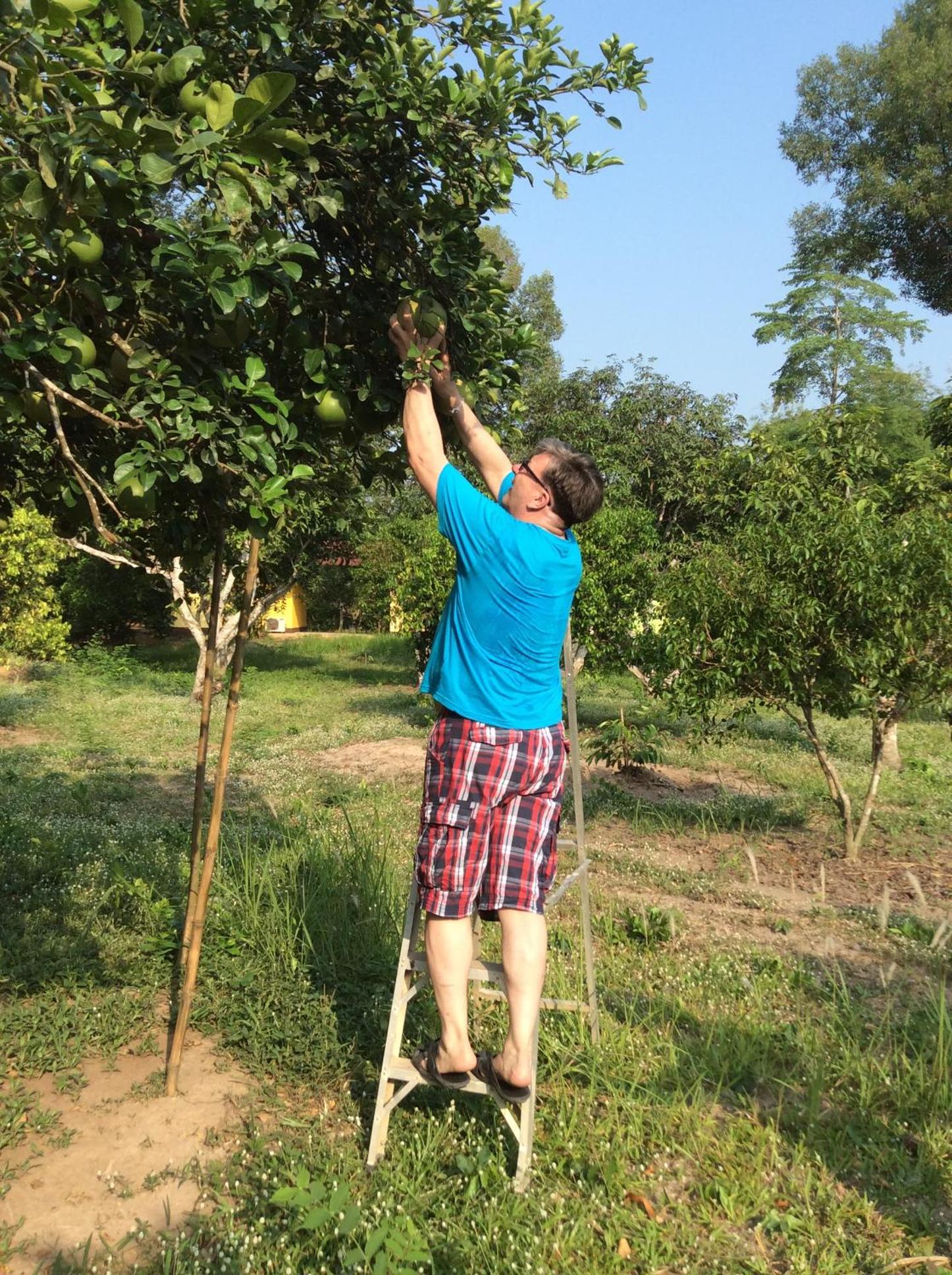 Pruksa Resort Prachin Buri