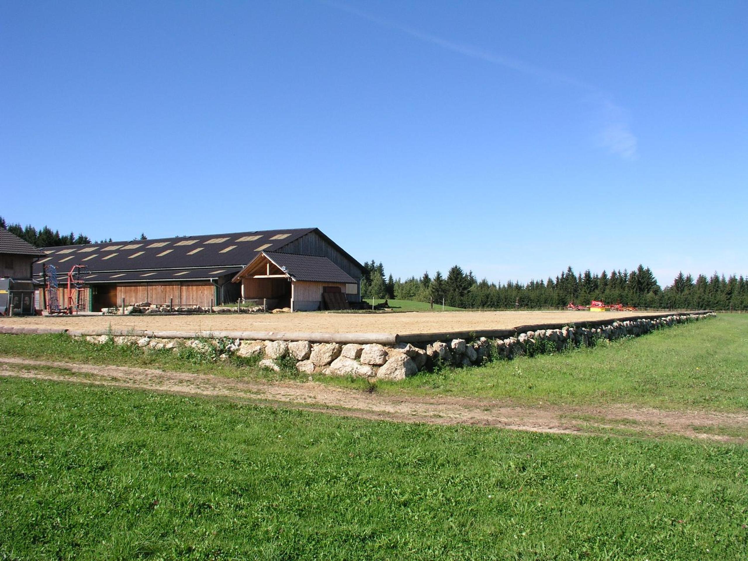 Photo 41