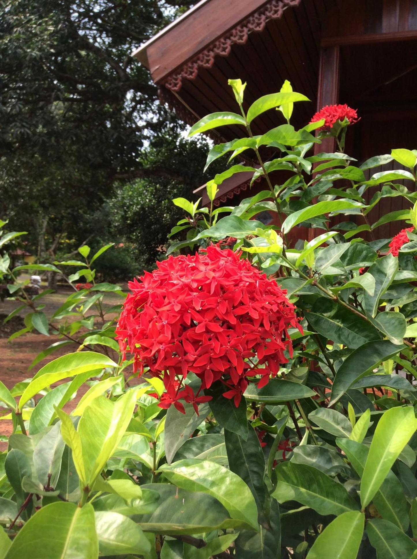 Pruksa Resort Prachin Buri