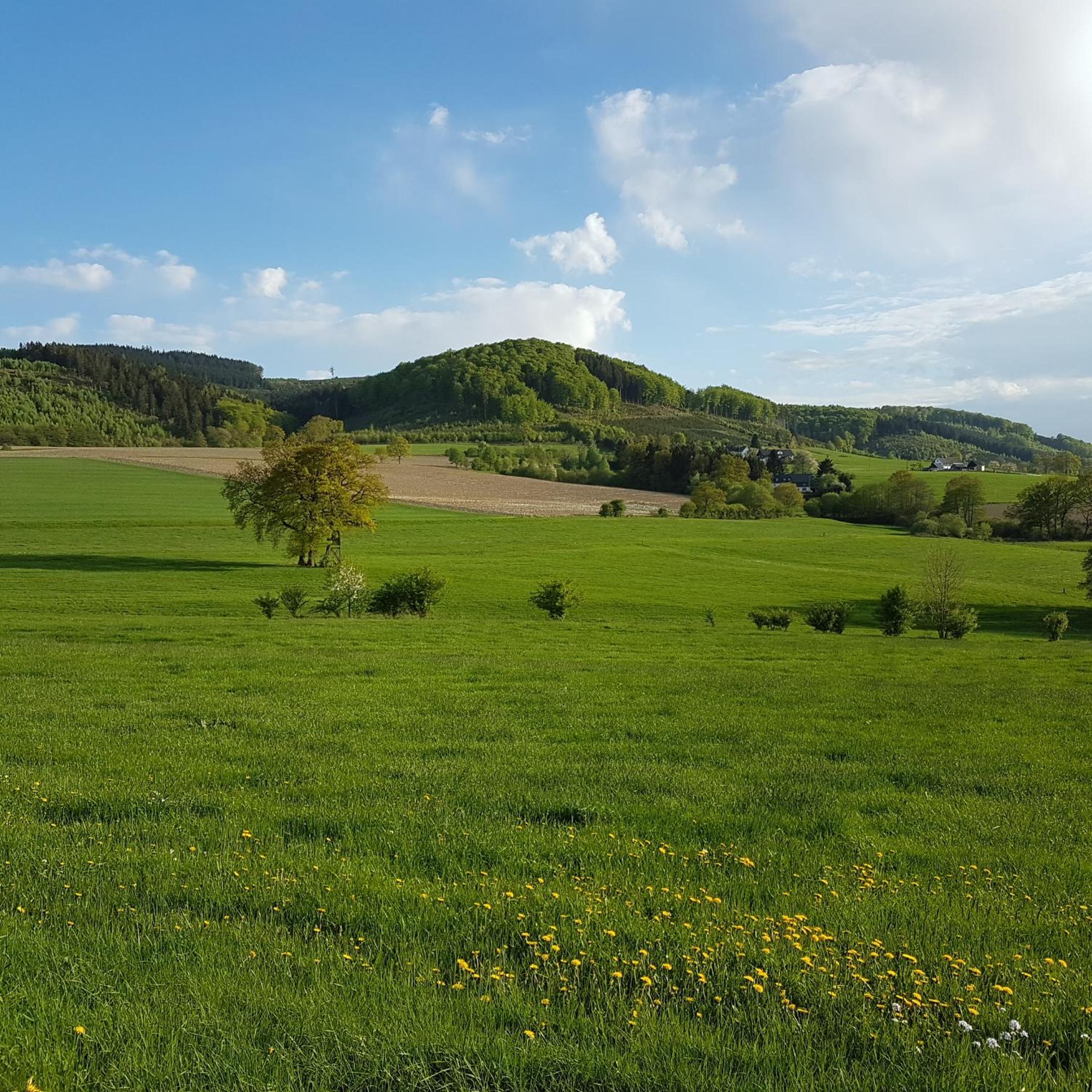 freundliche Unterkunft Sauerland