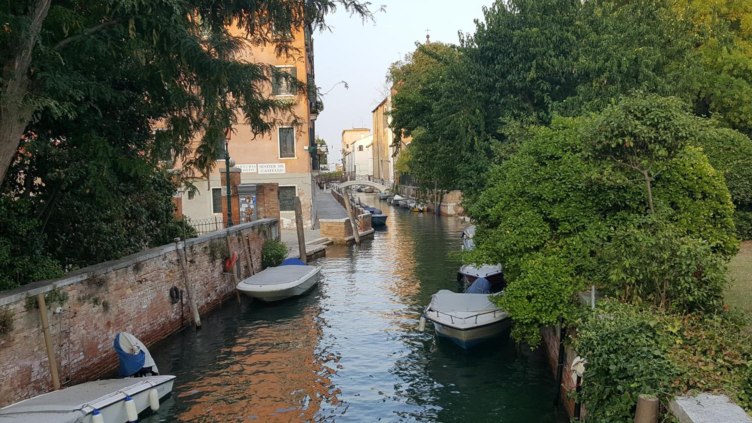 La Corte Incantata (alla Biennale)