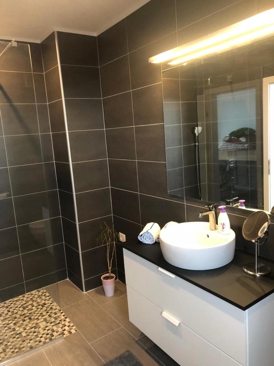 Apartma Lucija - Dekani view 5
