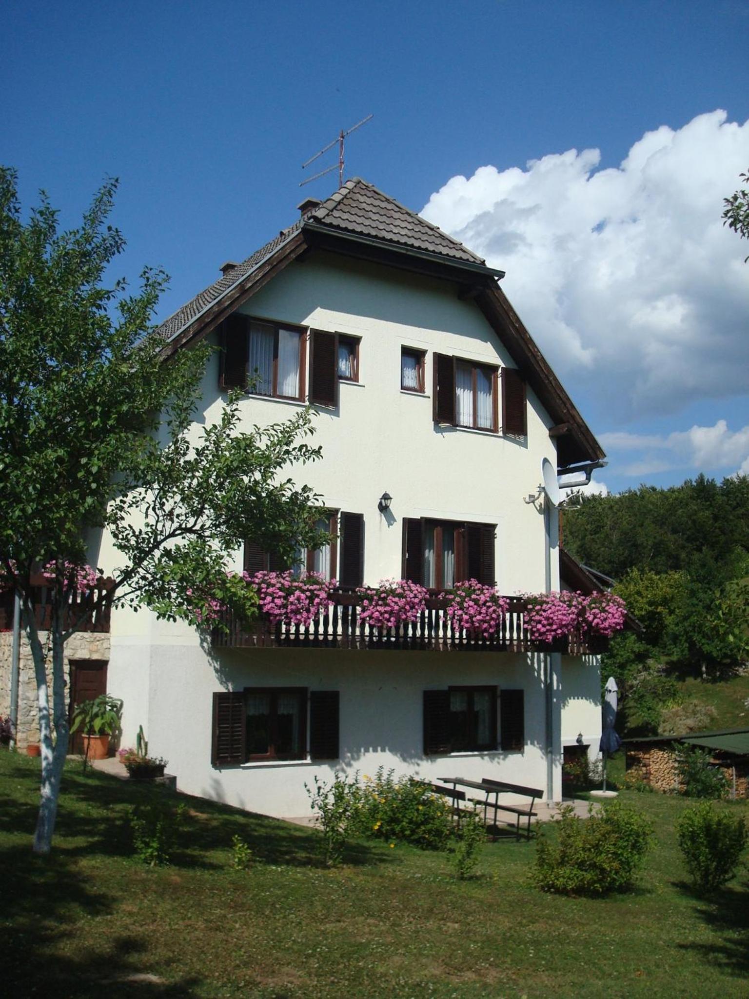 House Milan view 3