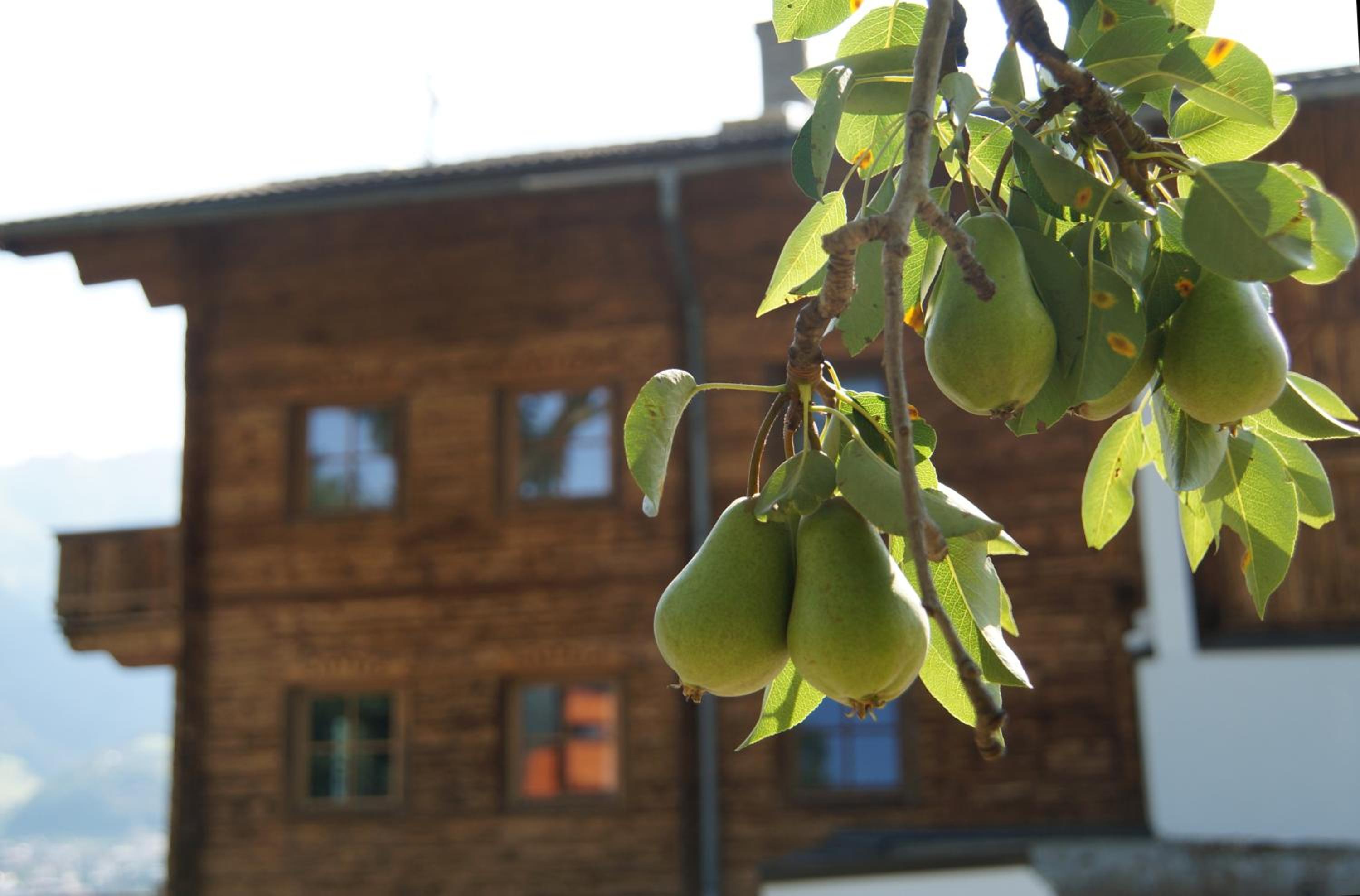 Ferienhaus 