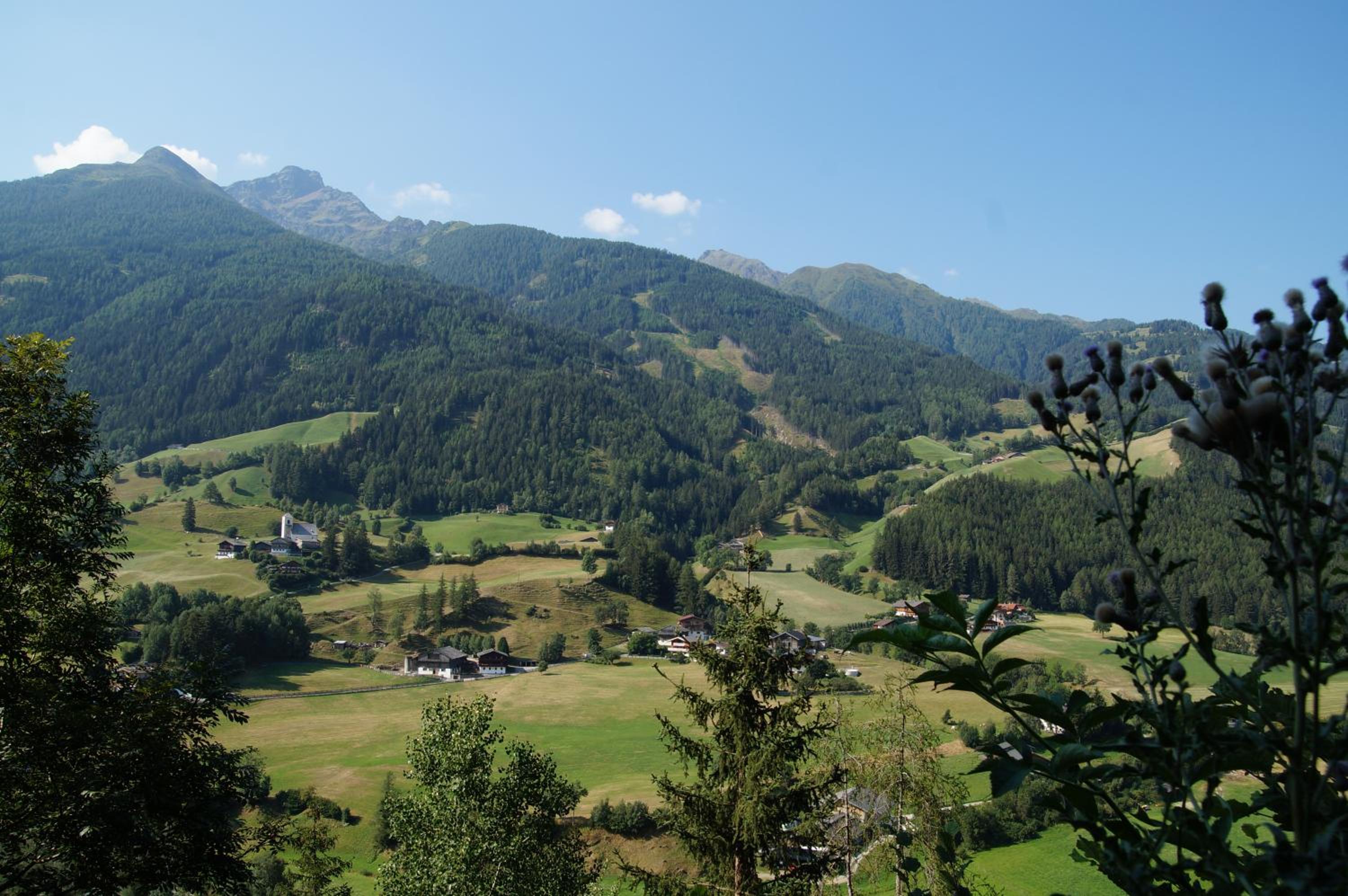 Ferienhaus 