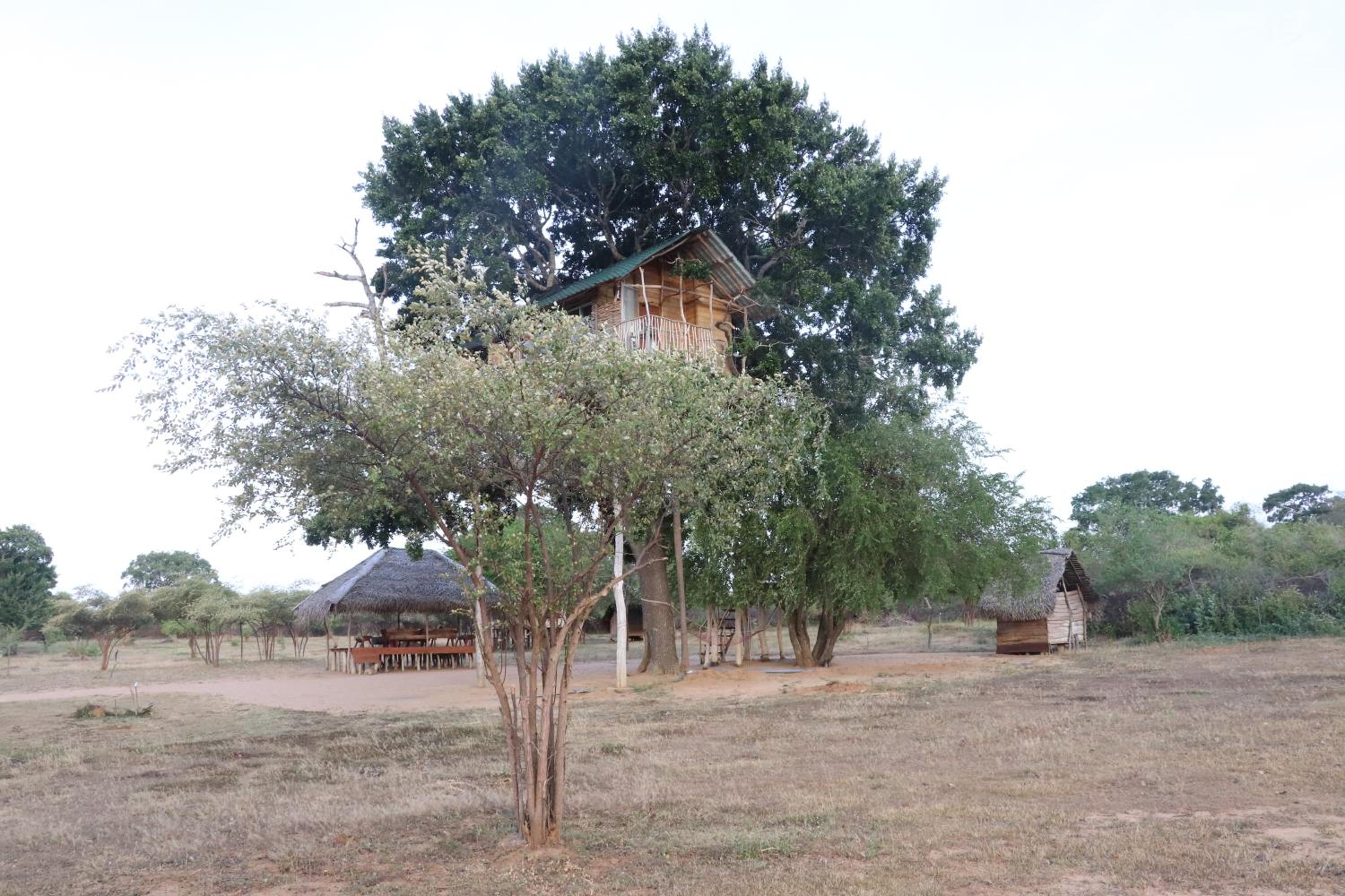 Photo 22