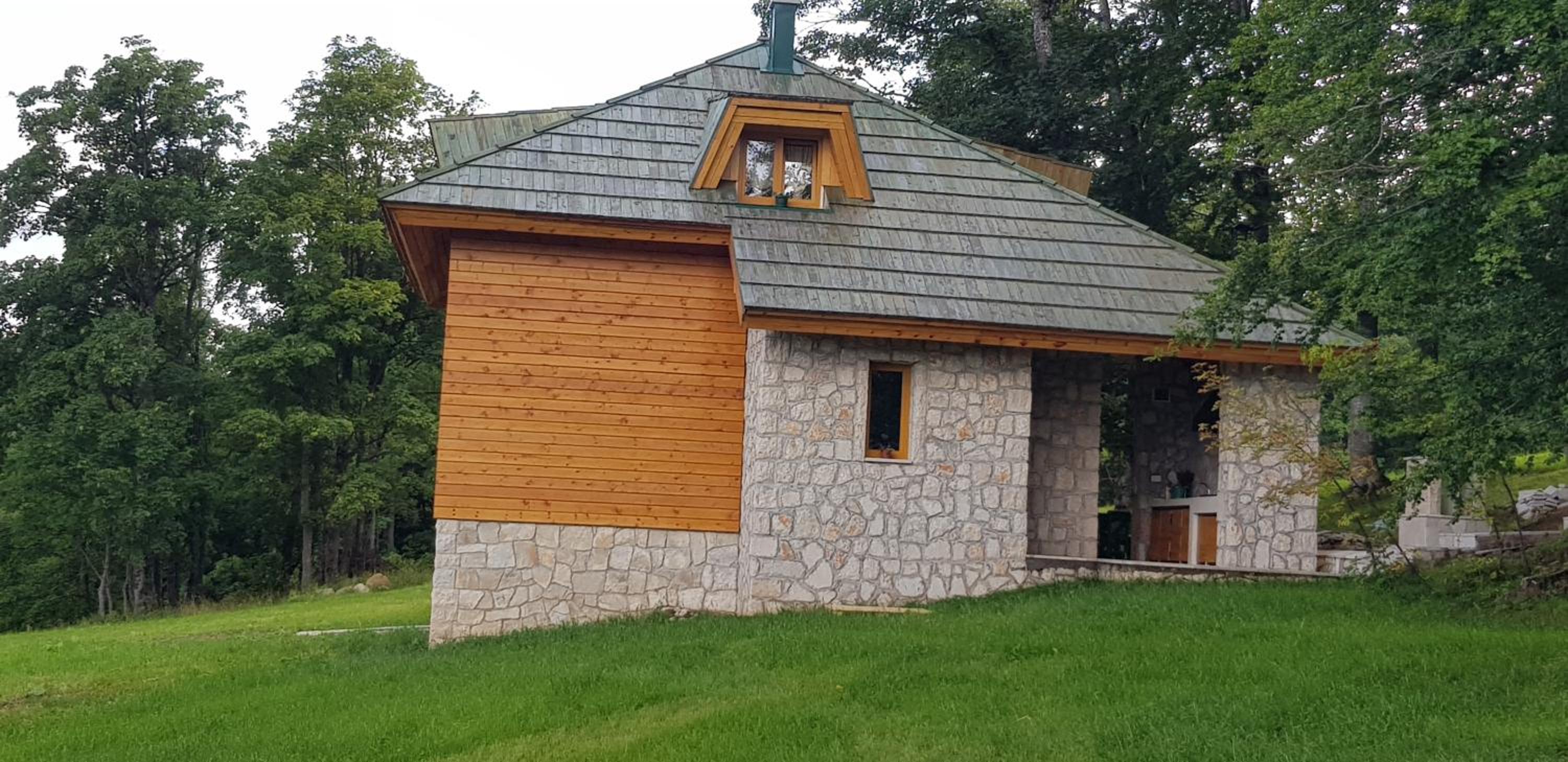 Green Forest photo 3