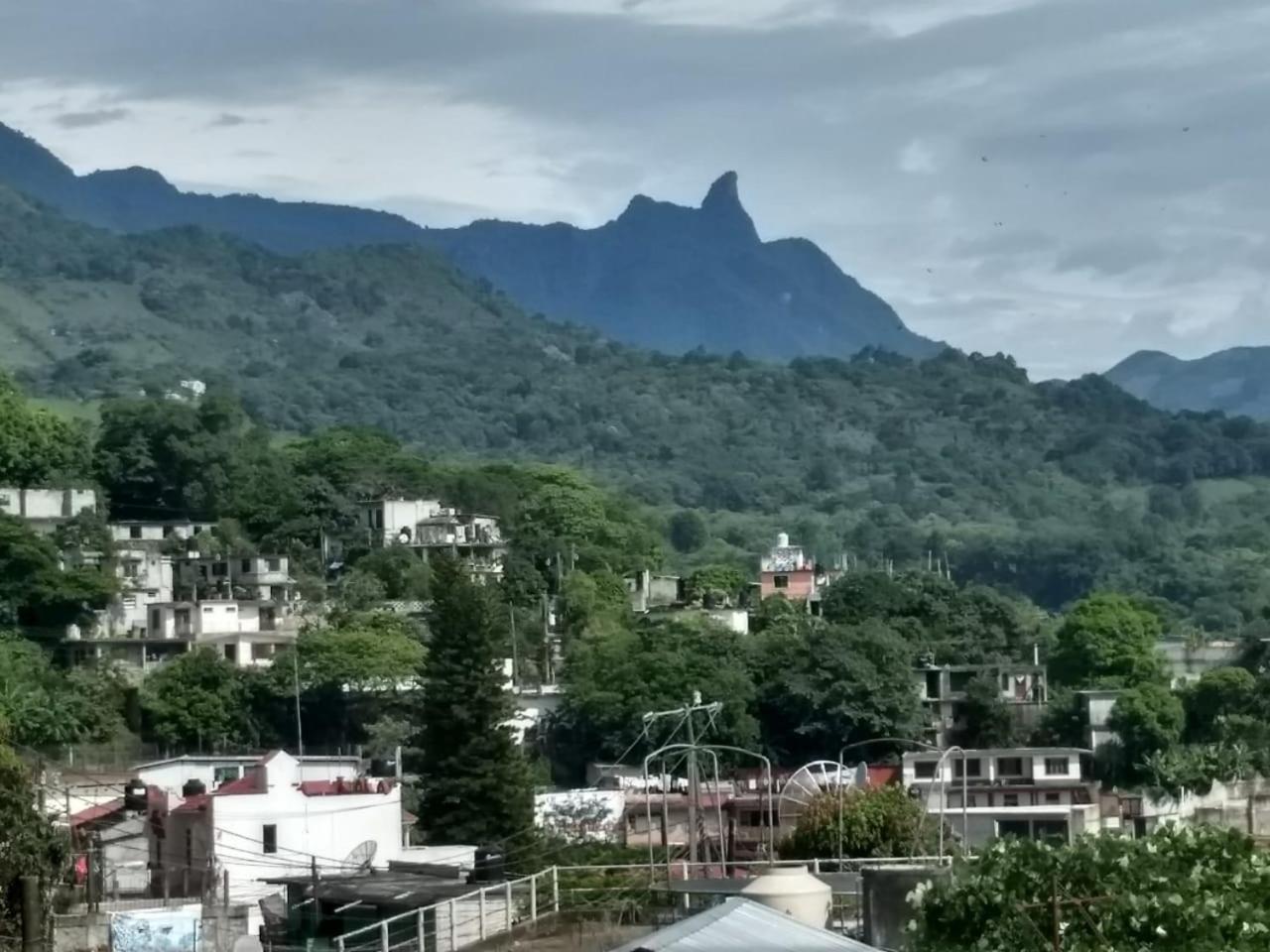 Casa Jhada-Xilitla, photo 21