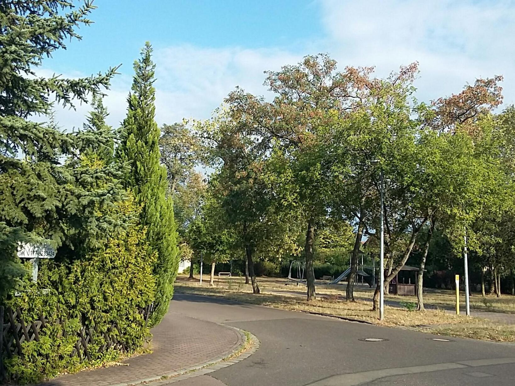 Photo 21