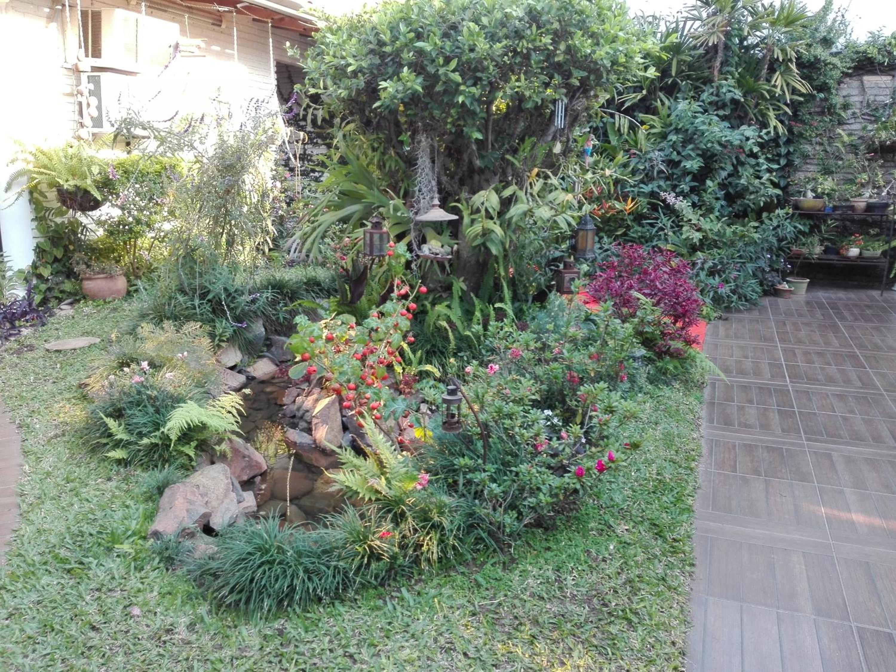Photo 22