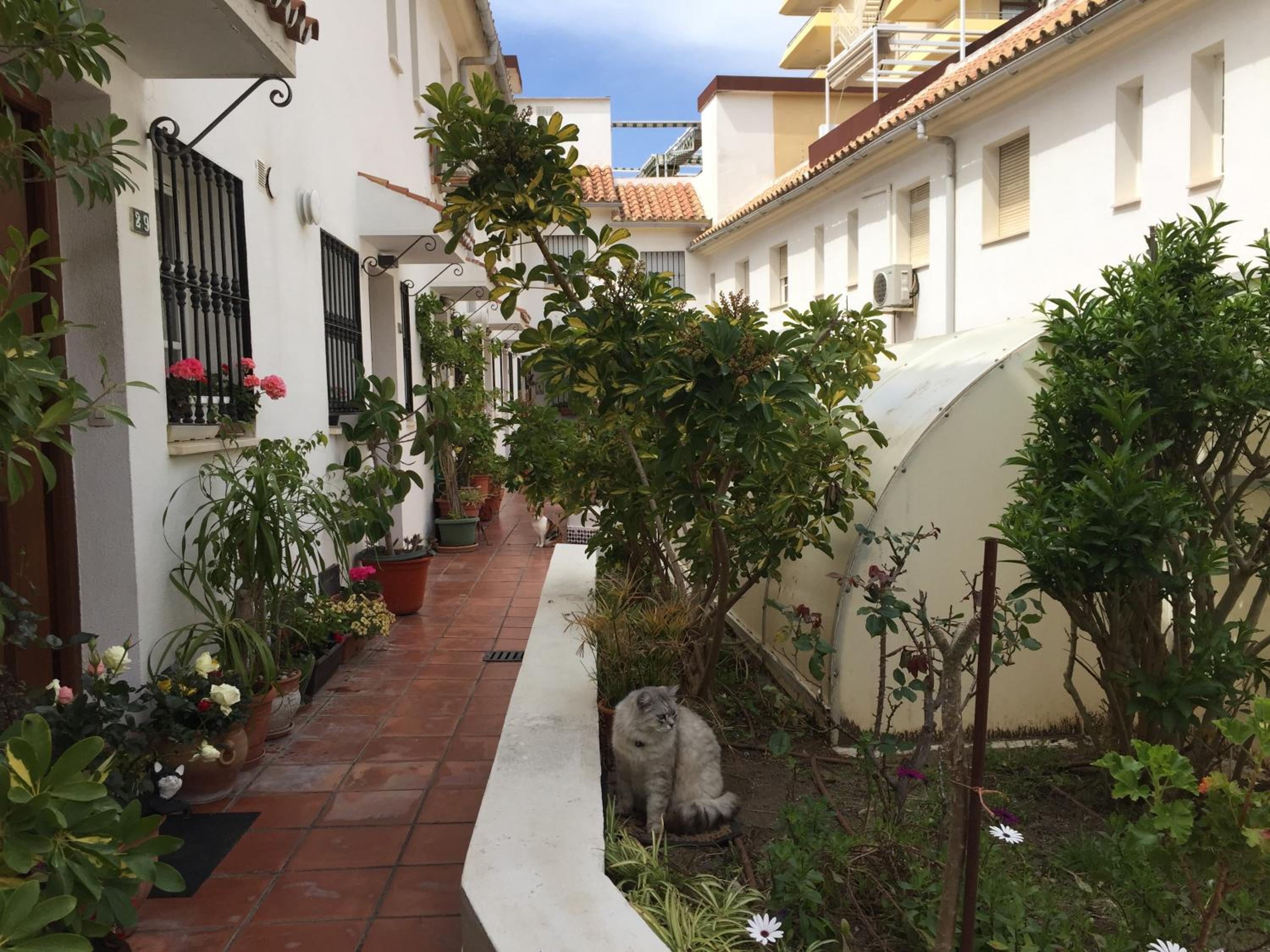 El Cortijuelo. Magnificent triplex terraced house with rooftop of 18m2, overlooking the sea. Parking view 5