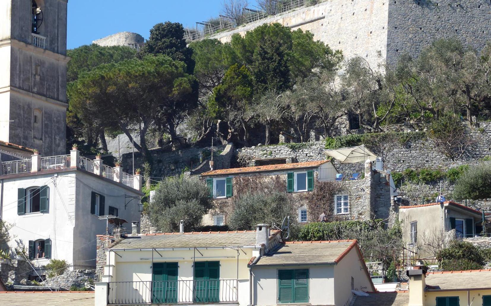 La BouganVilla