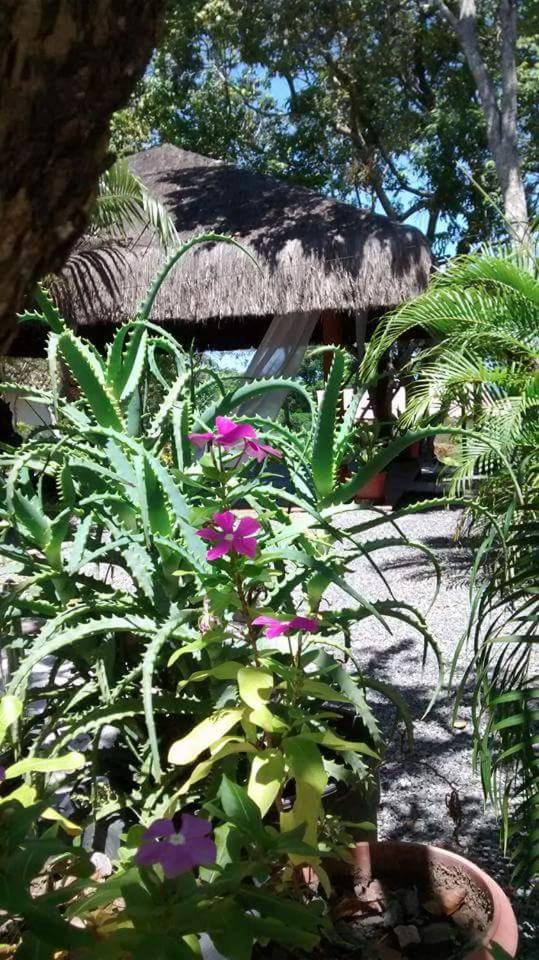Chalé "Oasis" view 4