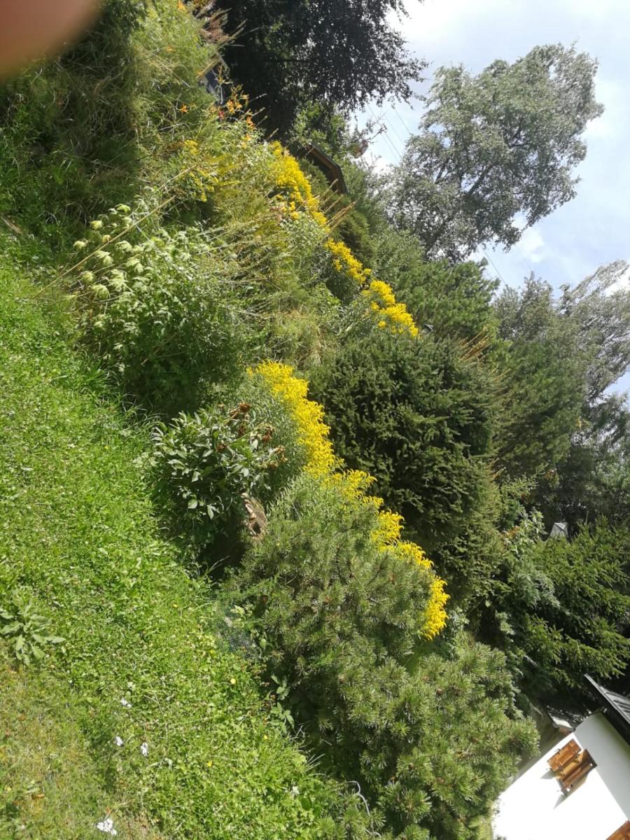 Country House Dolomiti view 5