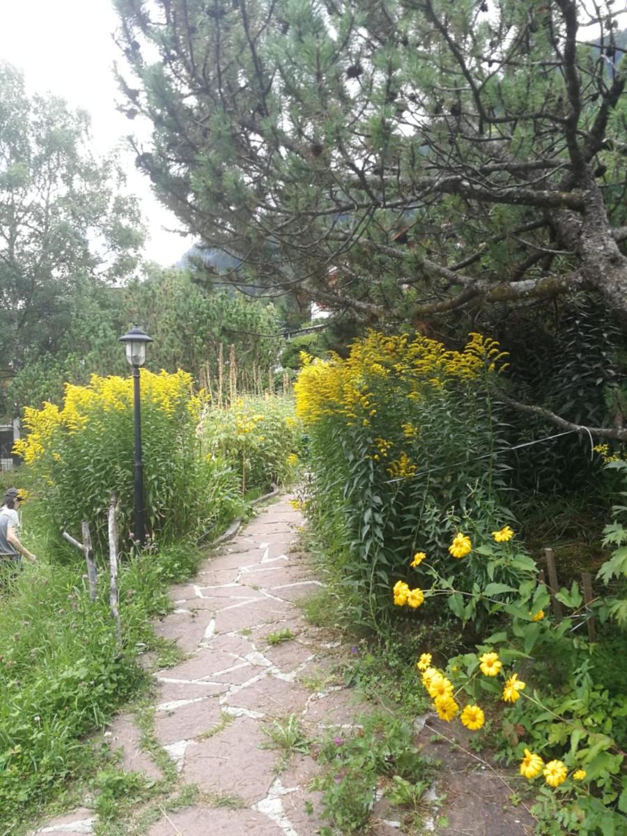 Photo 6