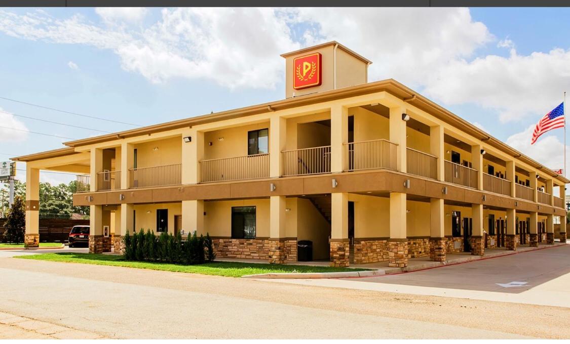 Palace Inn, photo 19