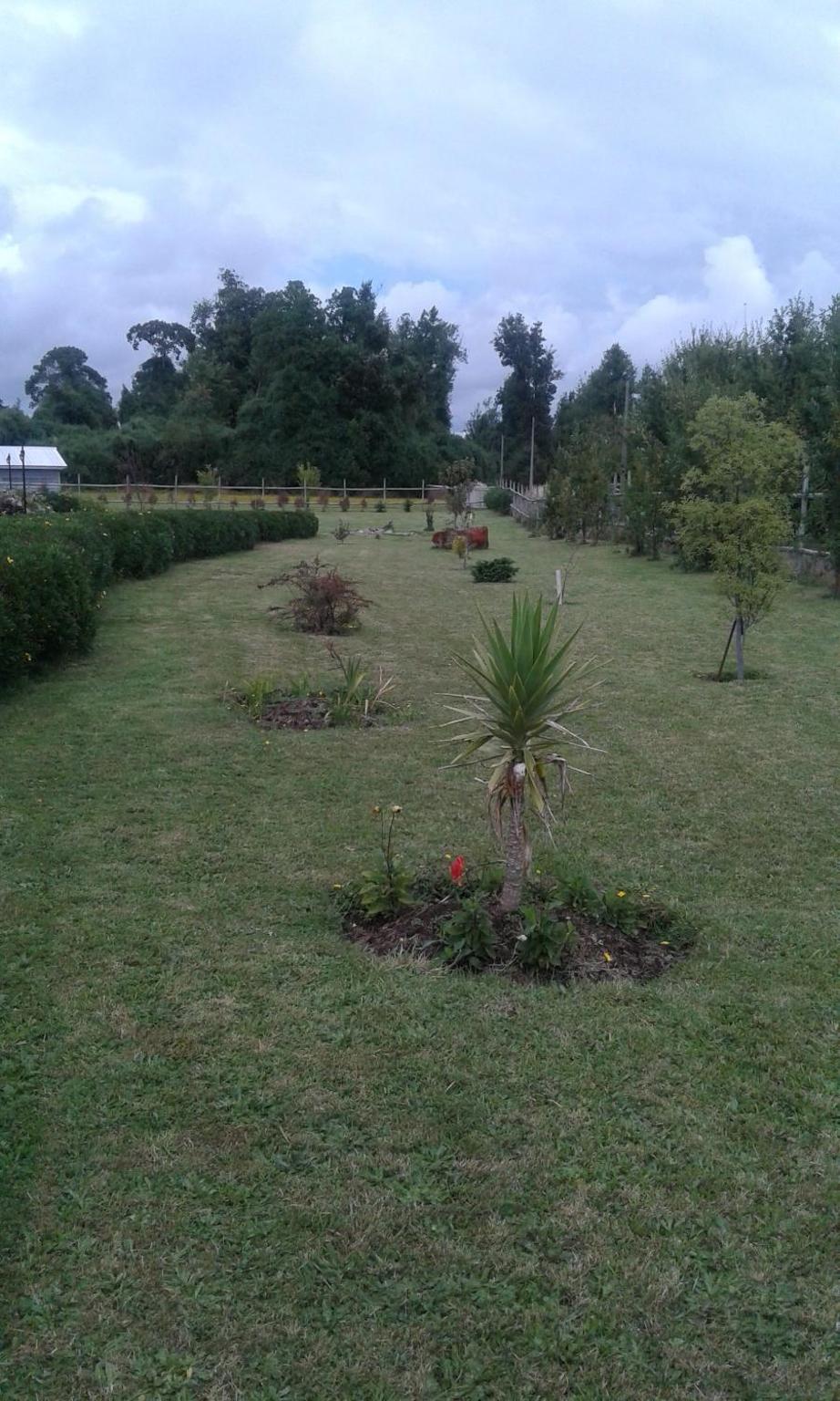 Cabañas Lago Azul