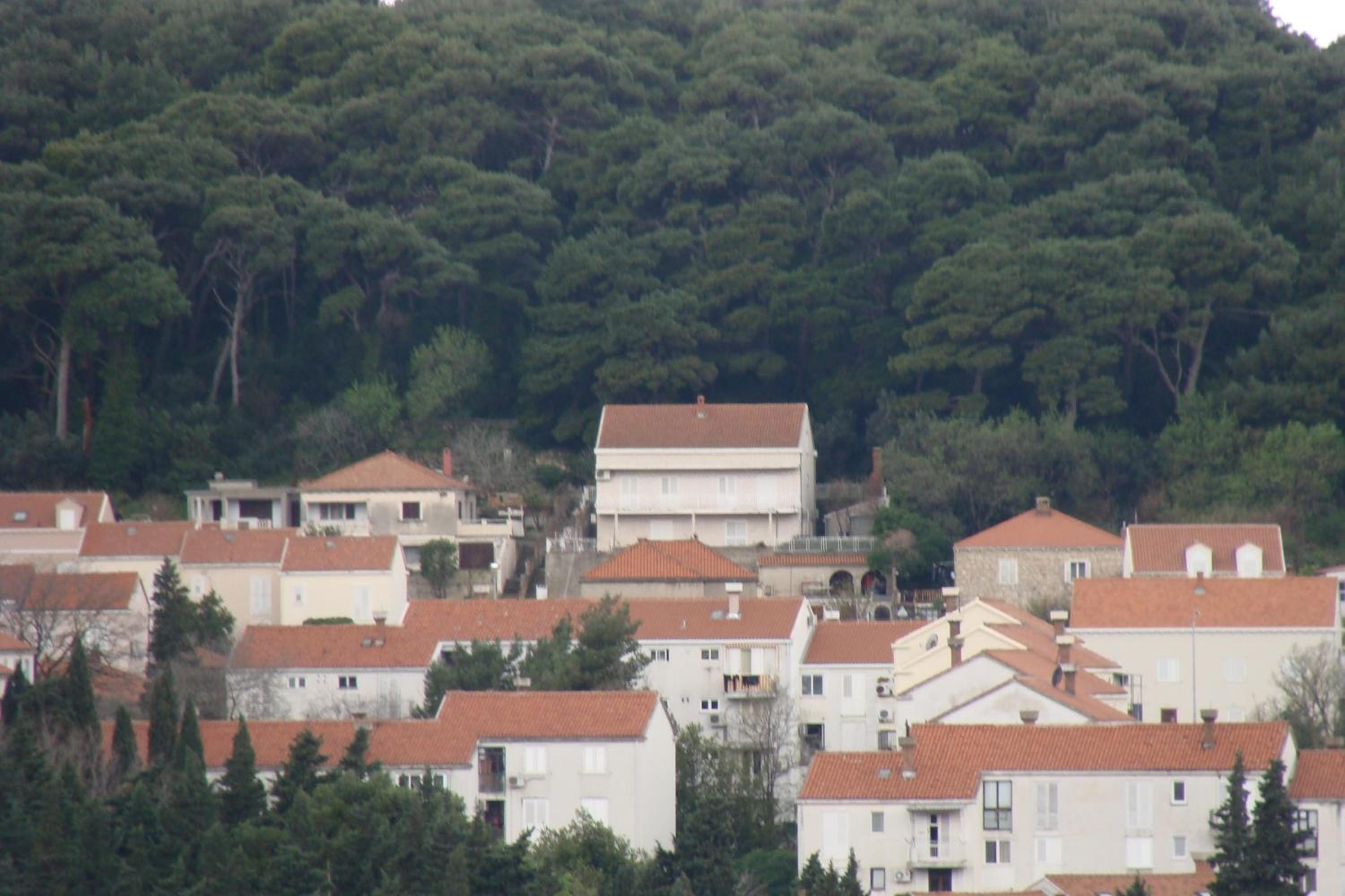 Apartments Lile