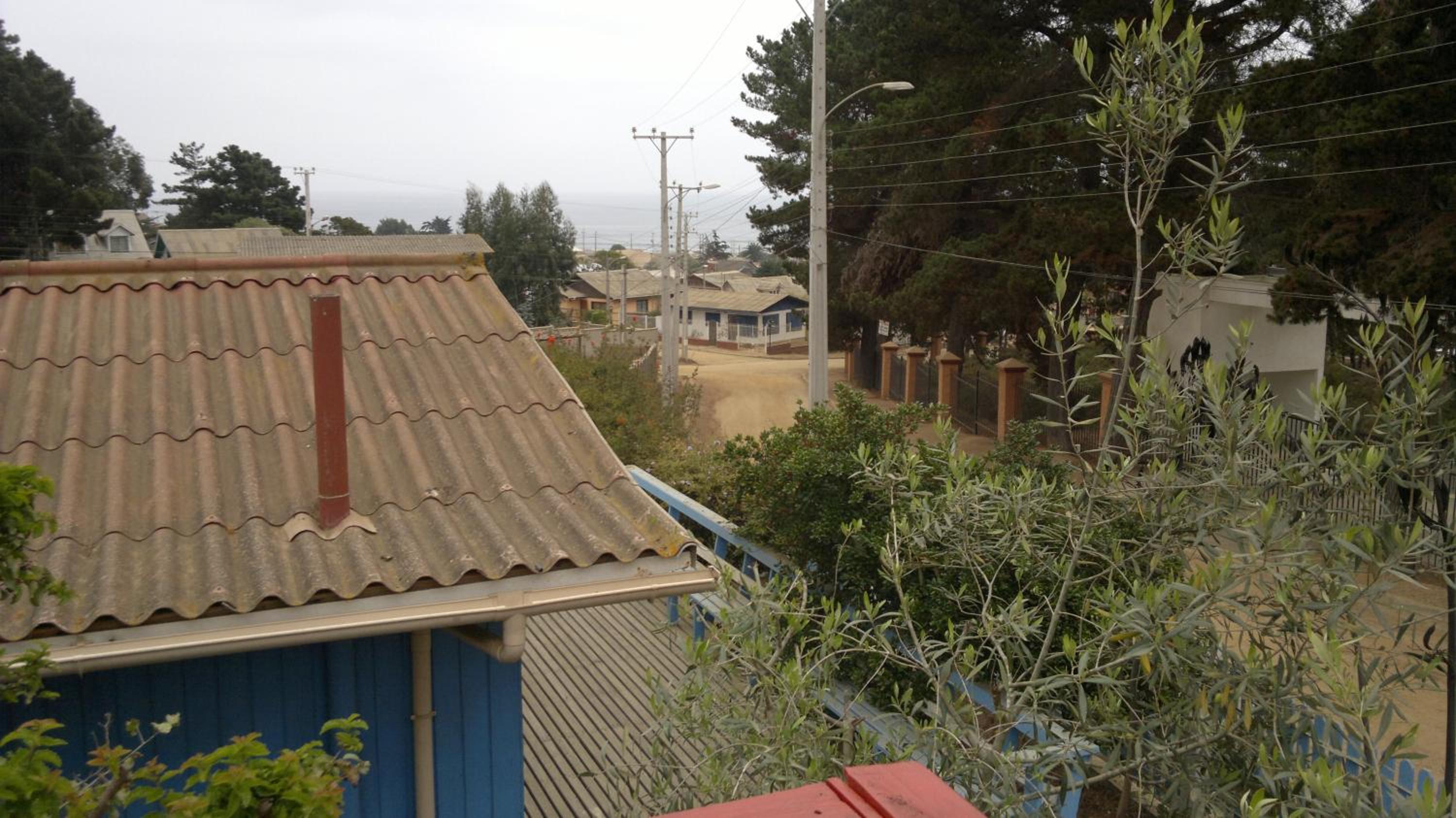 los troncos