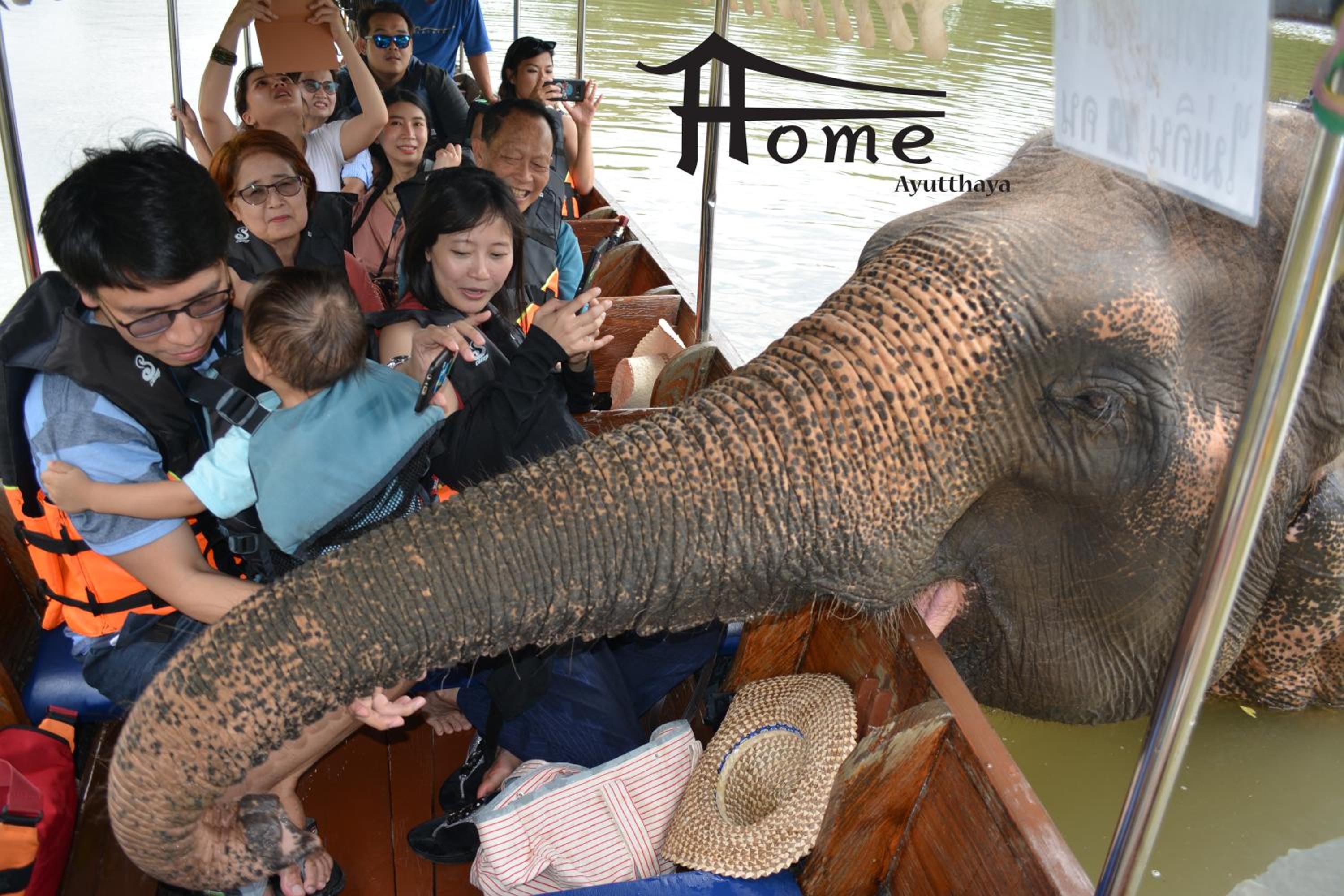 Home Ayutthaya