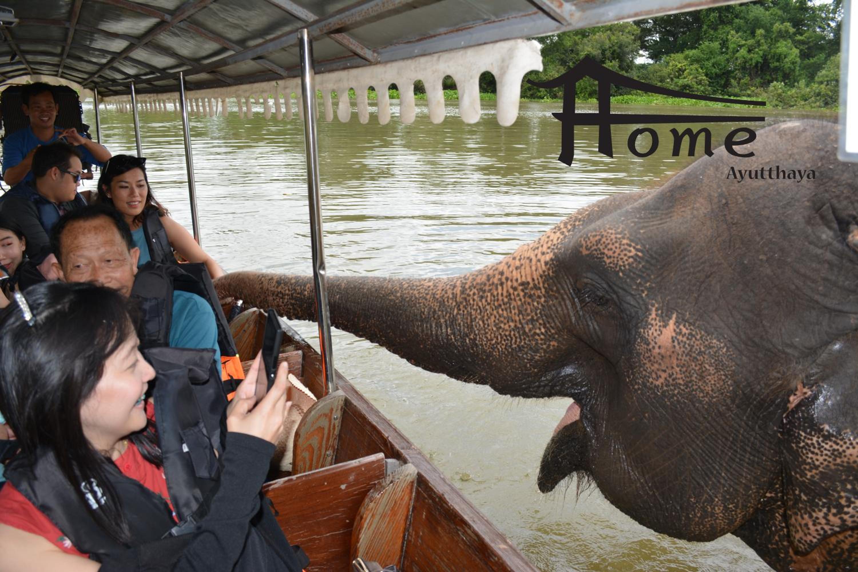 Home Ayutthaya