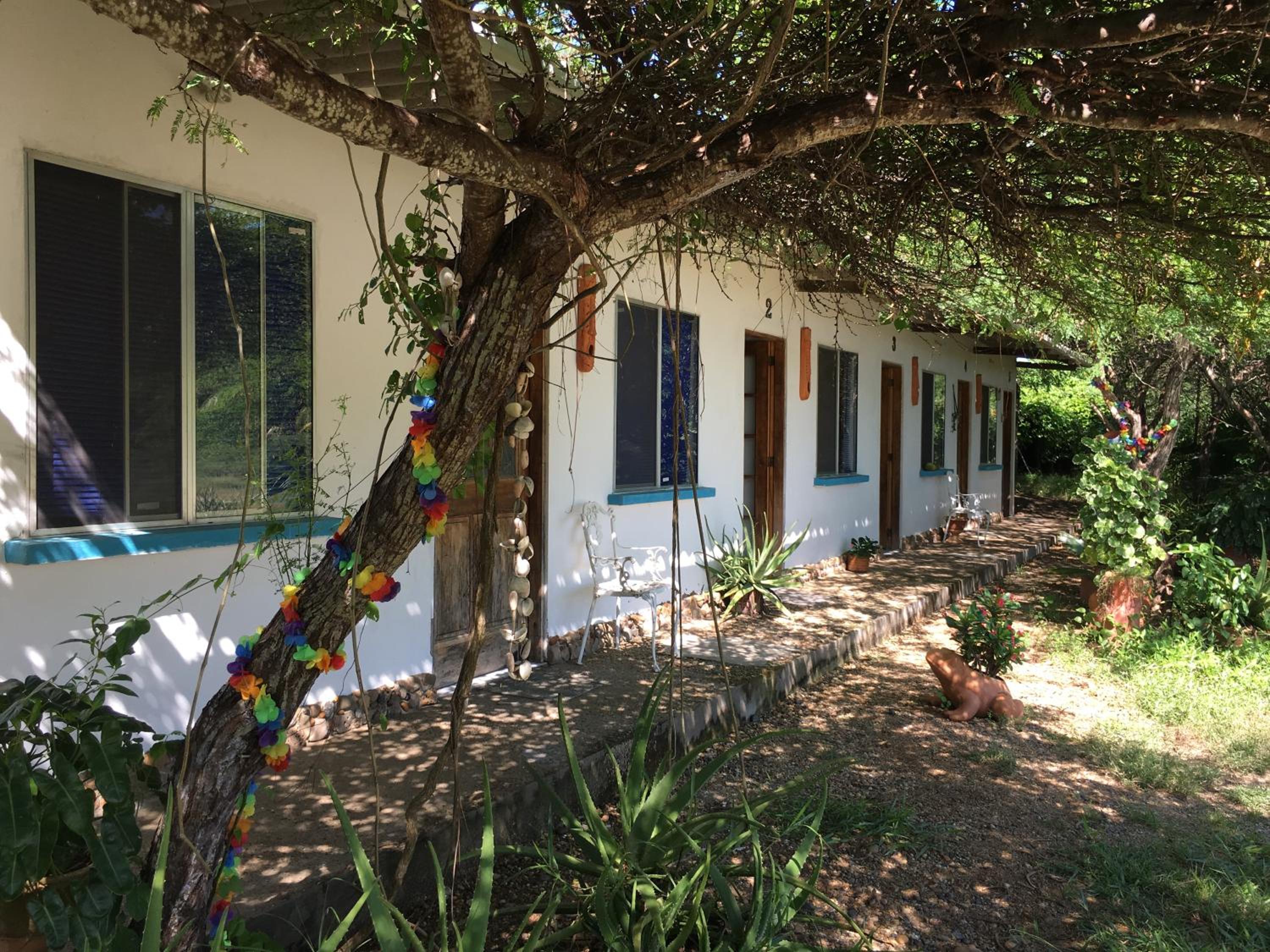 Galerazambahostal
